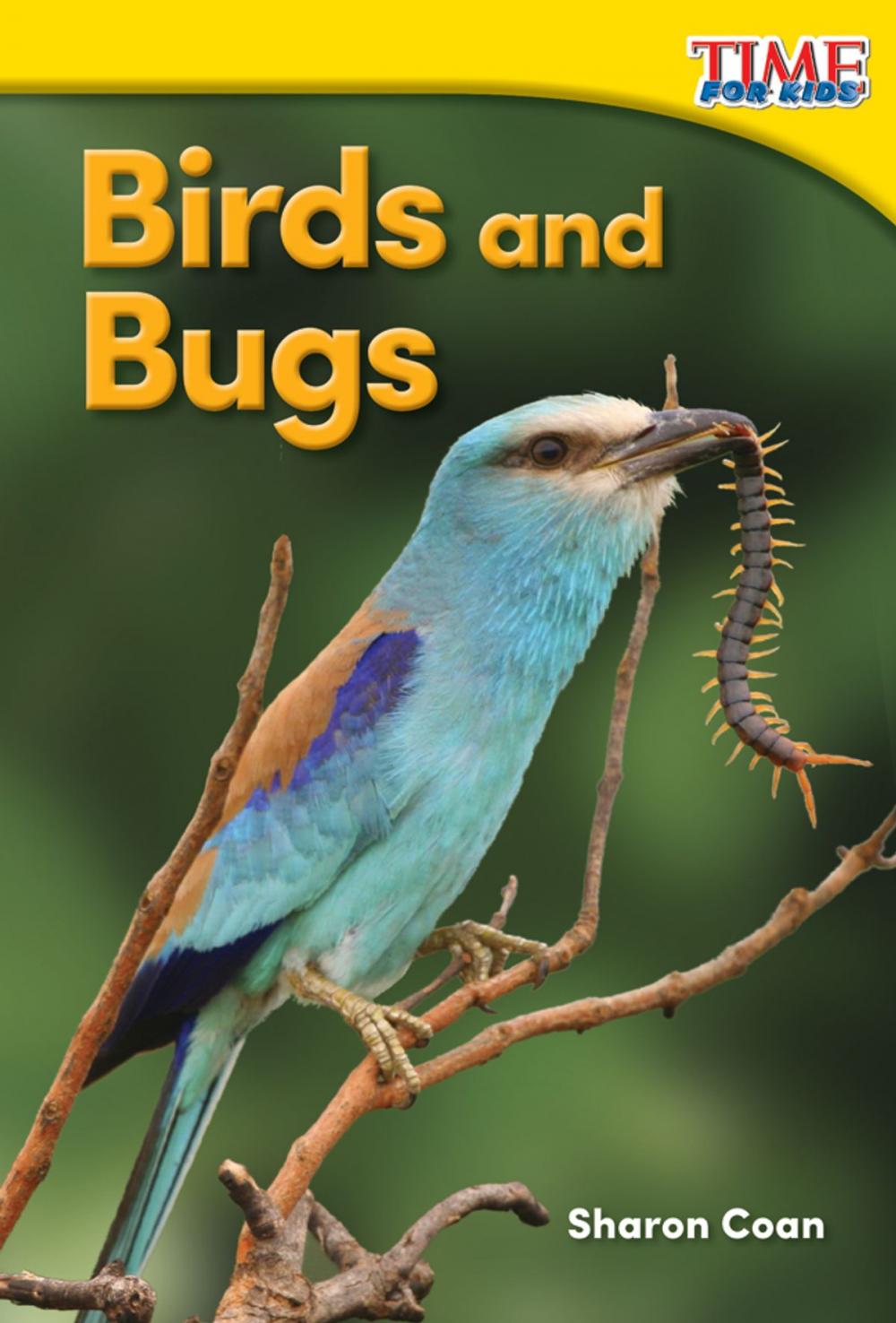 Big bigCover of Birds and Bugs