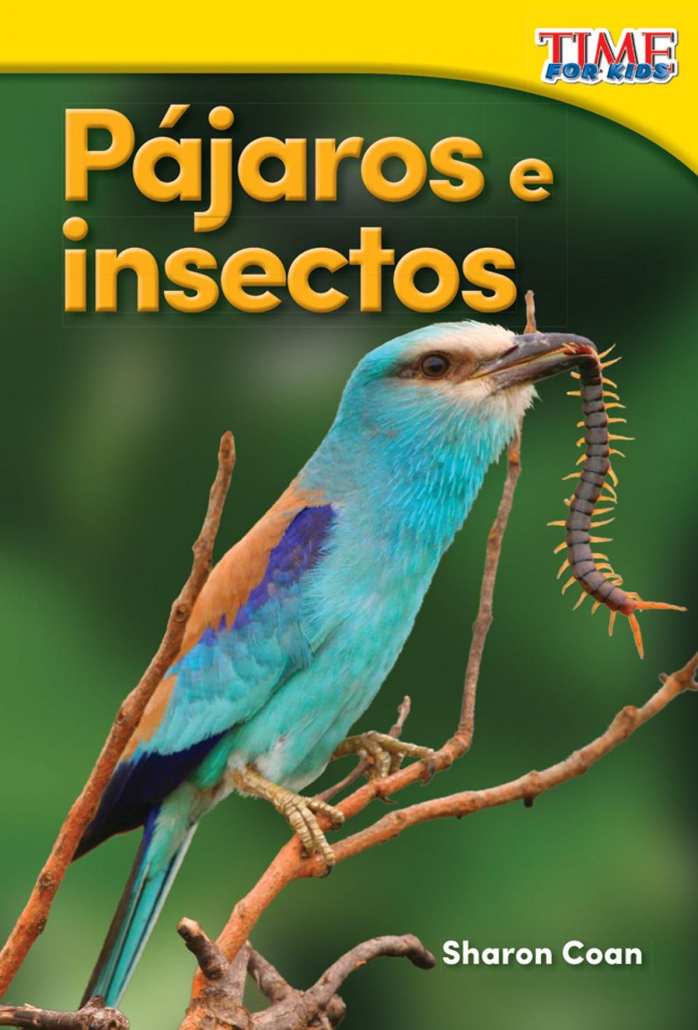 Big bigCover of Pájaros e insectos