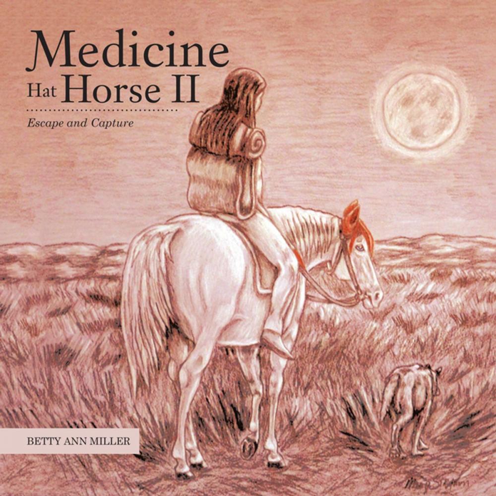 Big bigCover of Medicine Hat Horse Ii