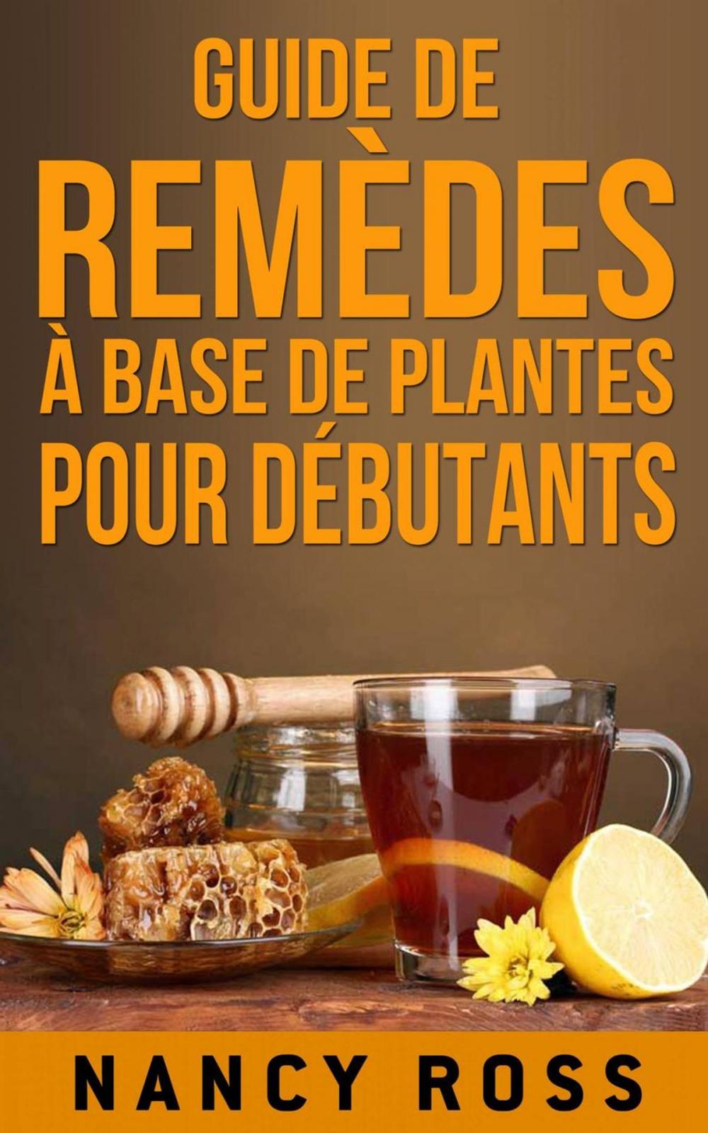 Big bigCover of Guide de remèdes à base de plantes pour débutants