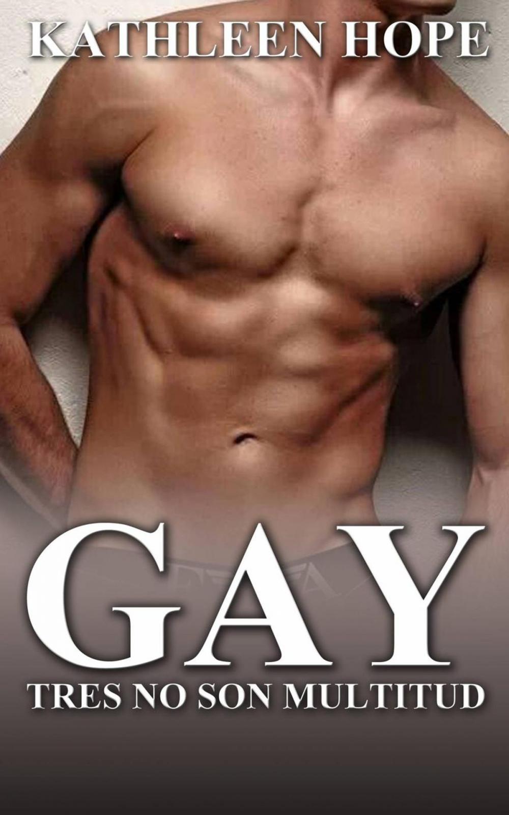 Big bigCover of Gay: Tres no son multitud