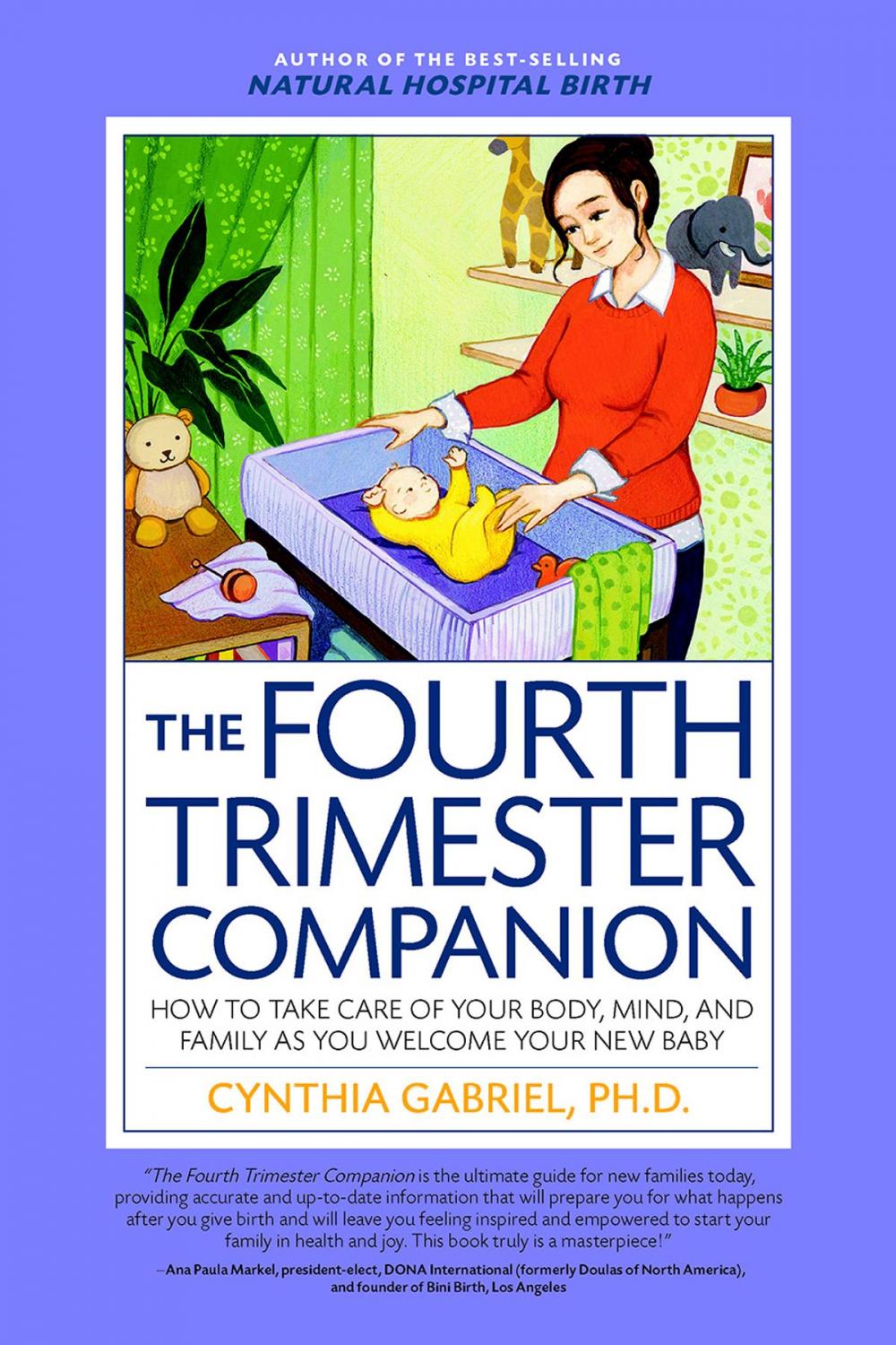 Big bigCover of The Fourth Trimester Companion