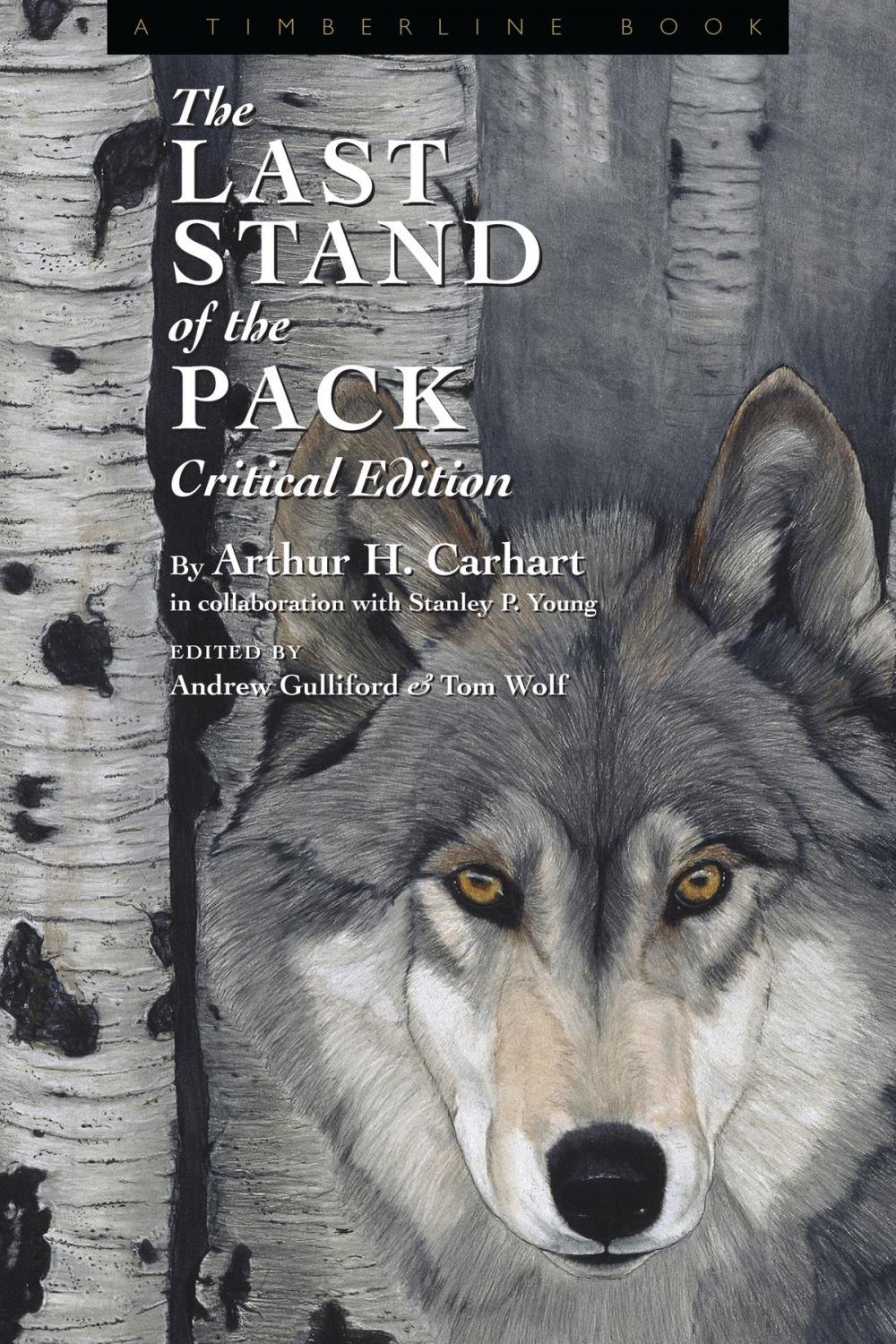 Big bigCover of The Last Stand of the Pack