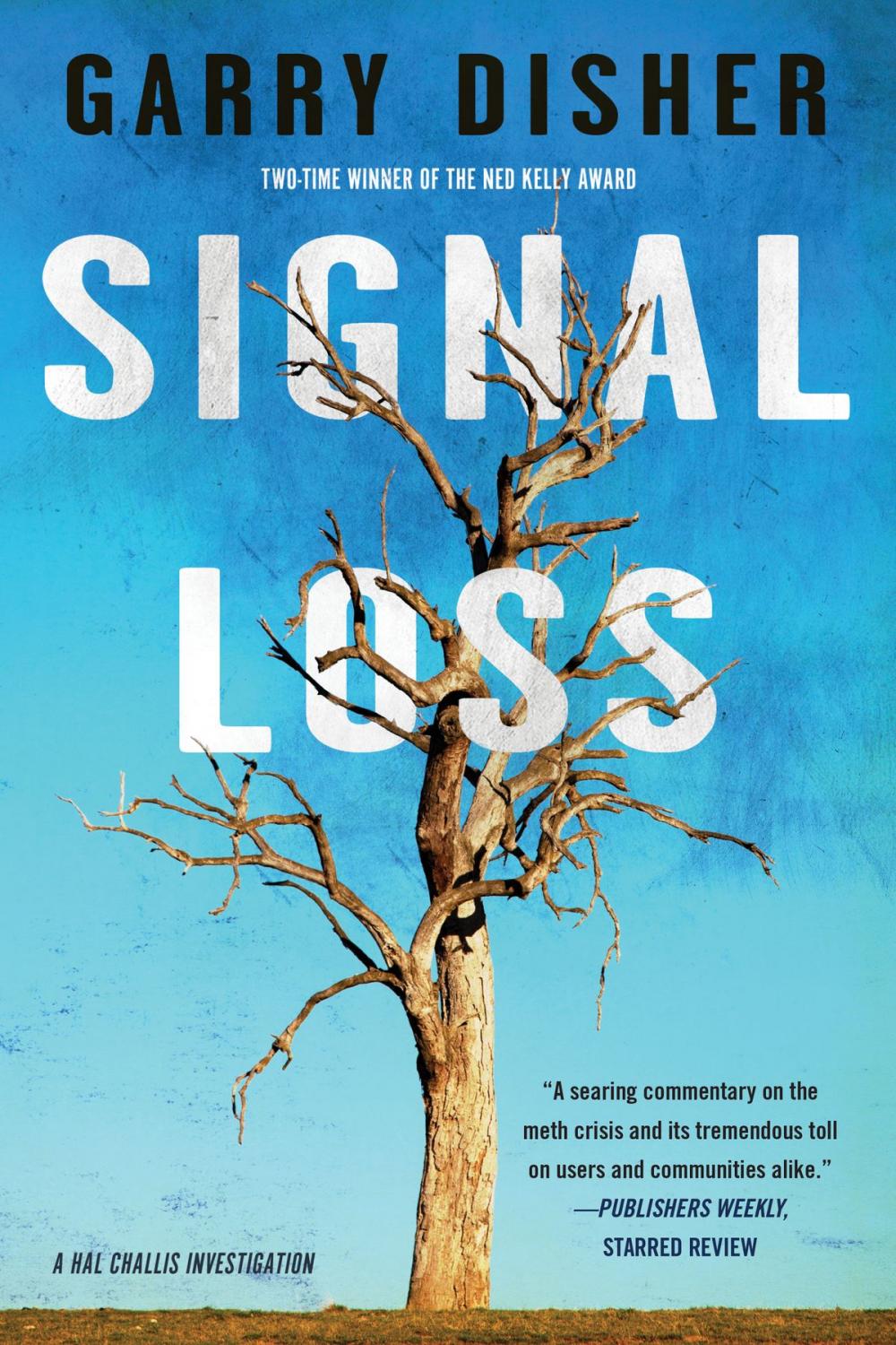 Big bigCover of Signal Loss