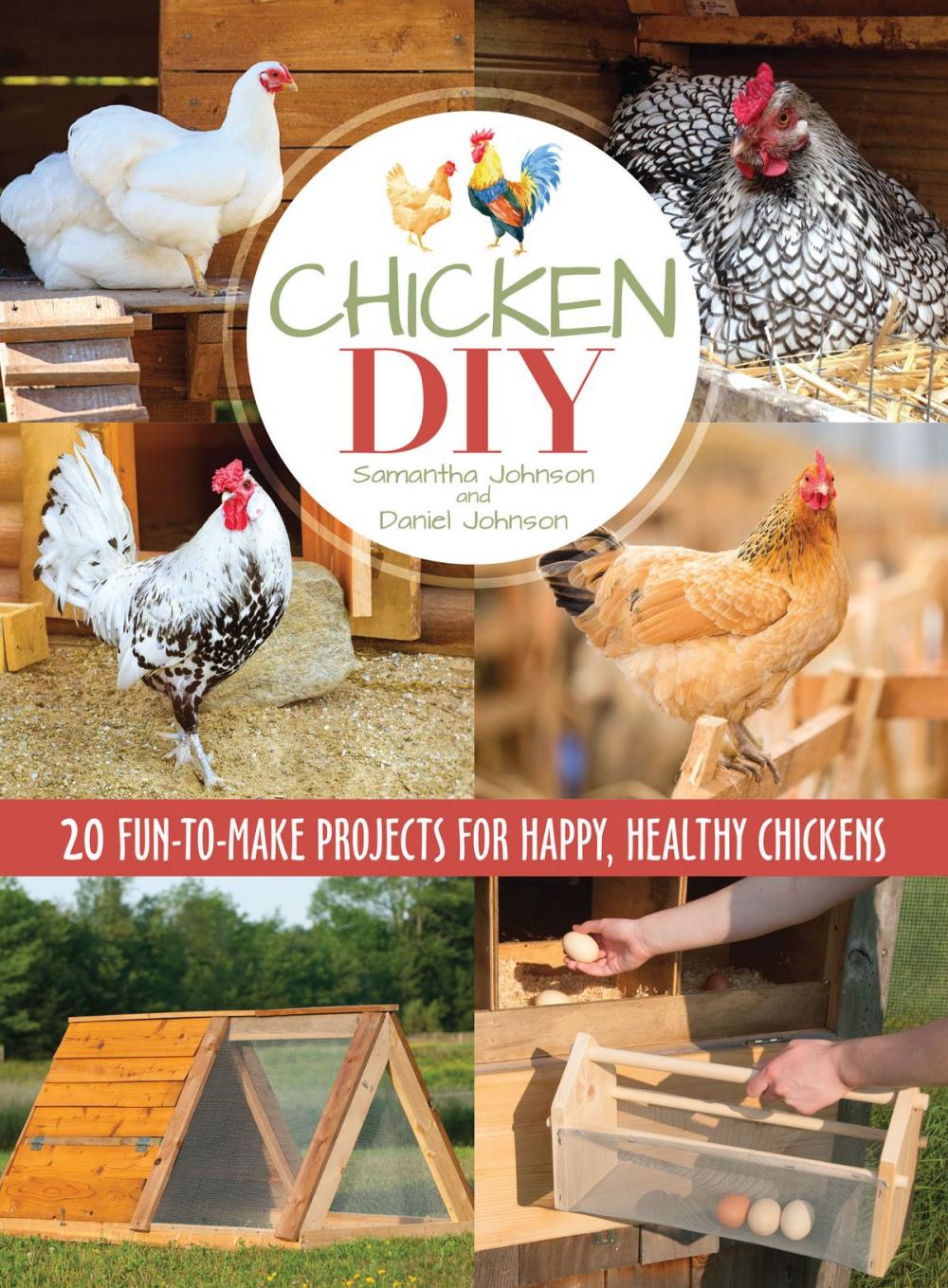 Big bigCover of Chicken DIY