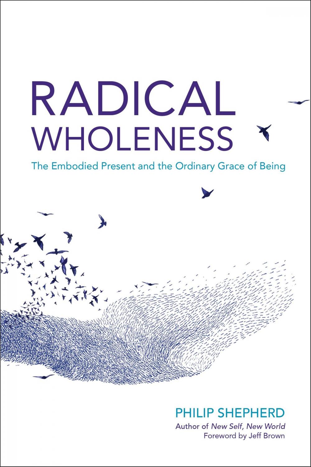 Big bigCover of Radical Wholeness