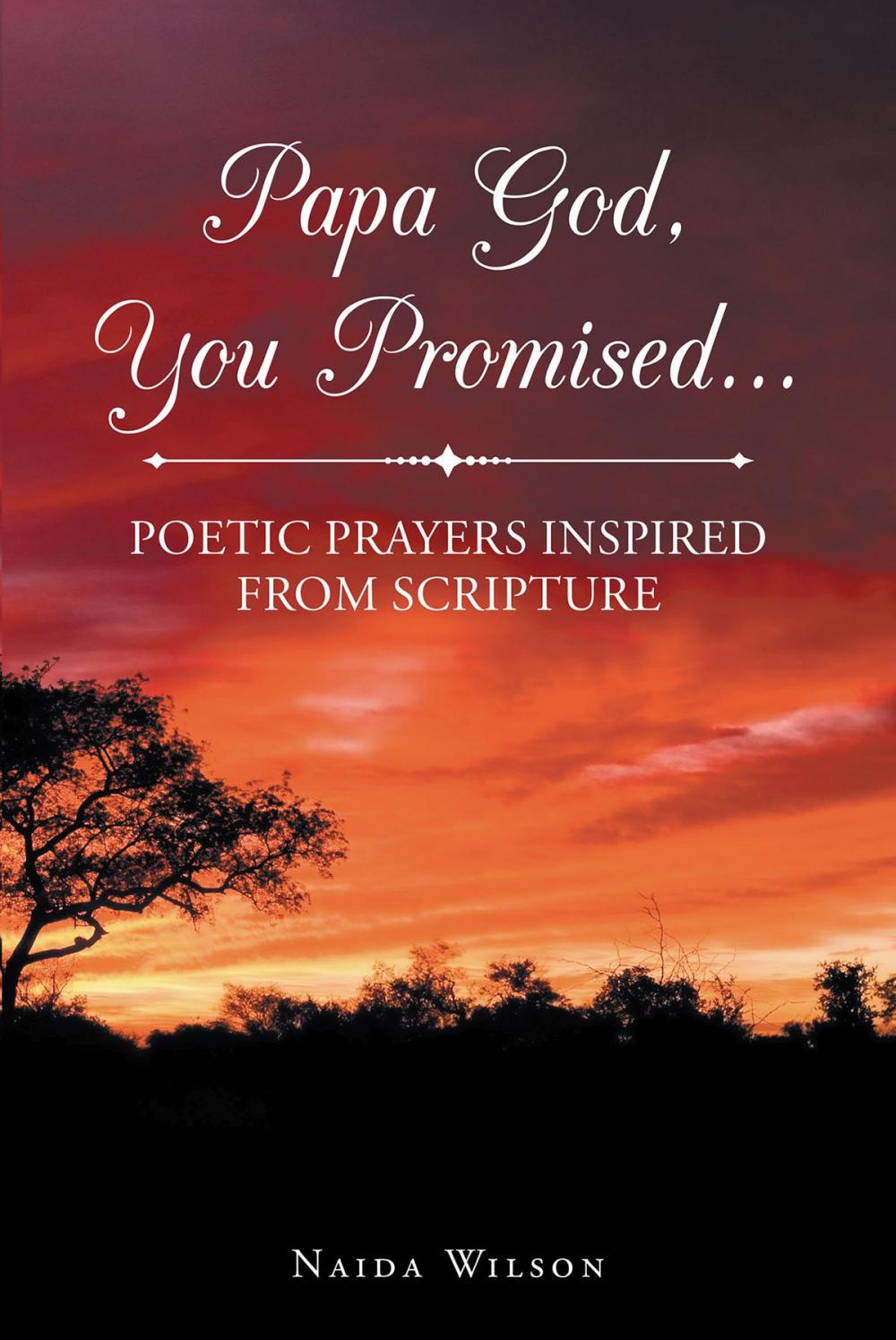 Big bigCover of Papa God, You Promised…