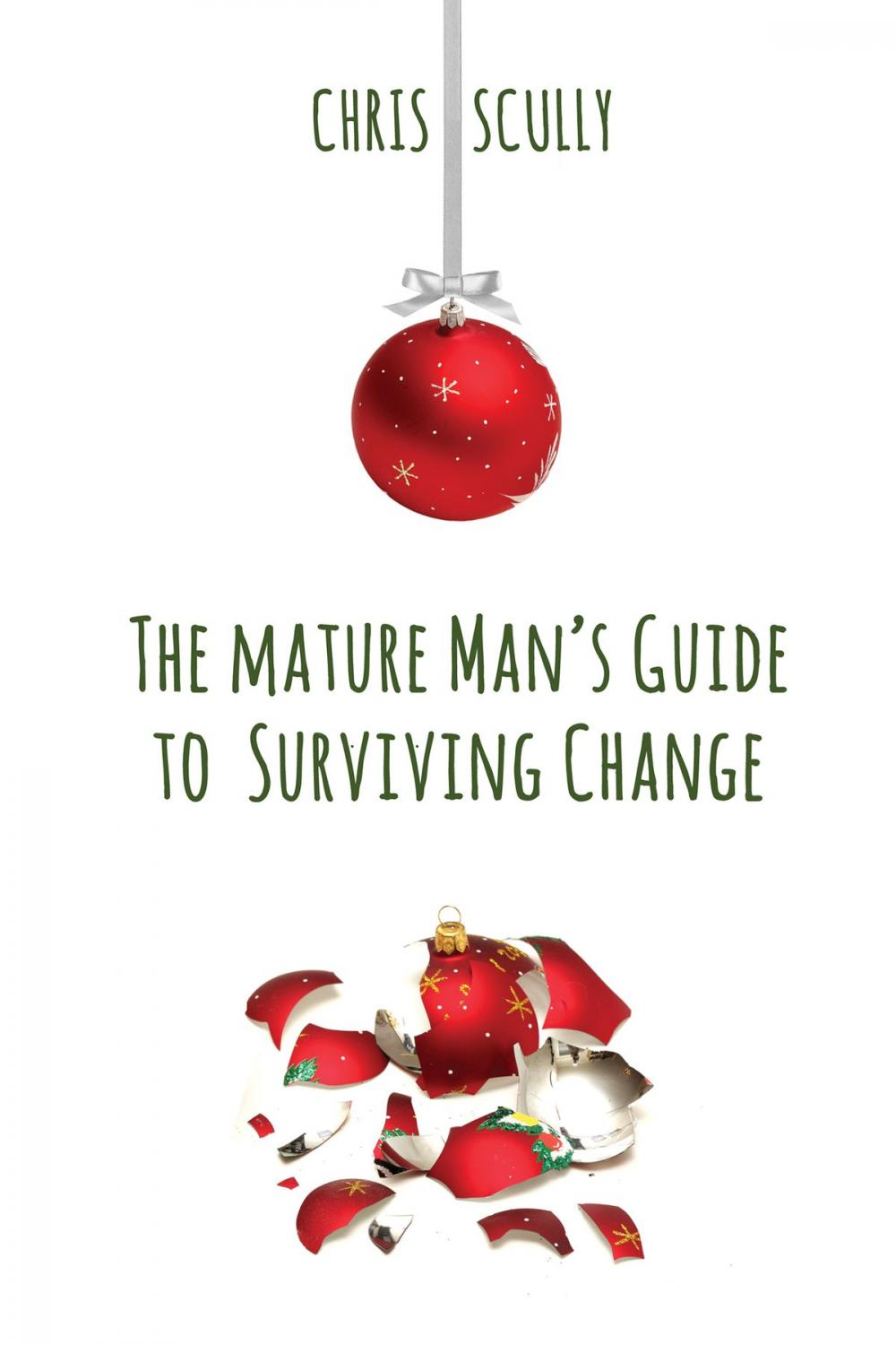 Big bigCover of The Mature Man's Guide to Surviving Change