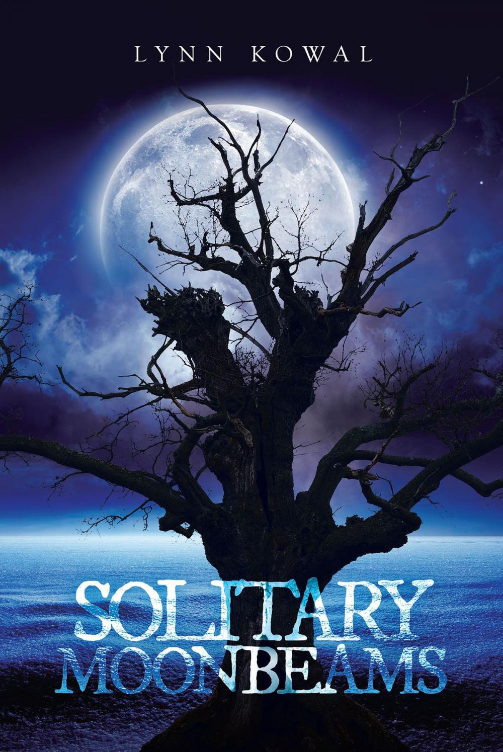 Big bigCover of Solitary Moonbeams