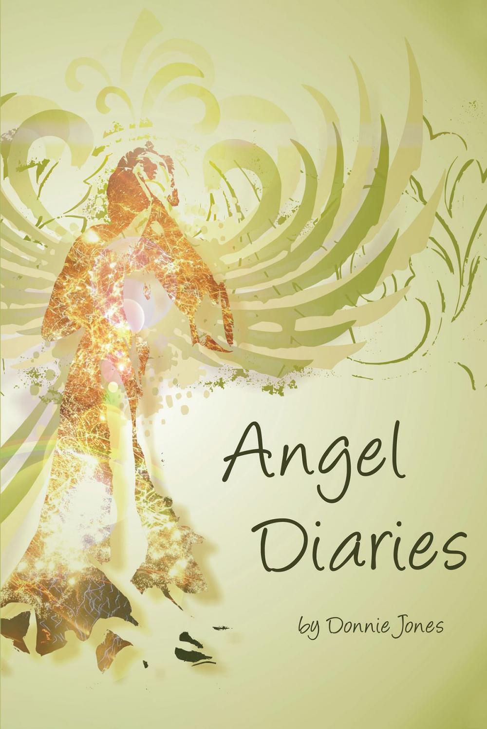 Big bigCover of Poems from the Angel Diaries