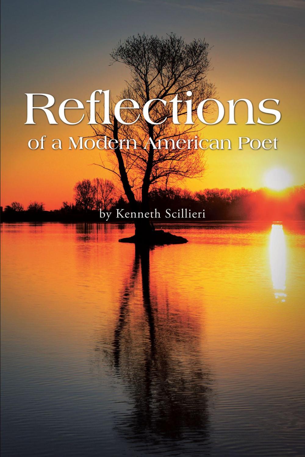 Big bigCover of Reflections of a Modern American Poet