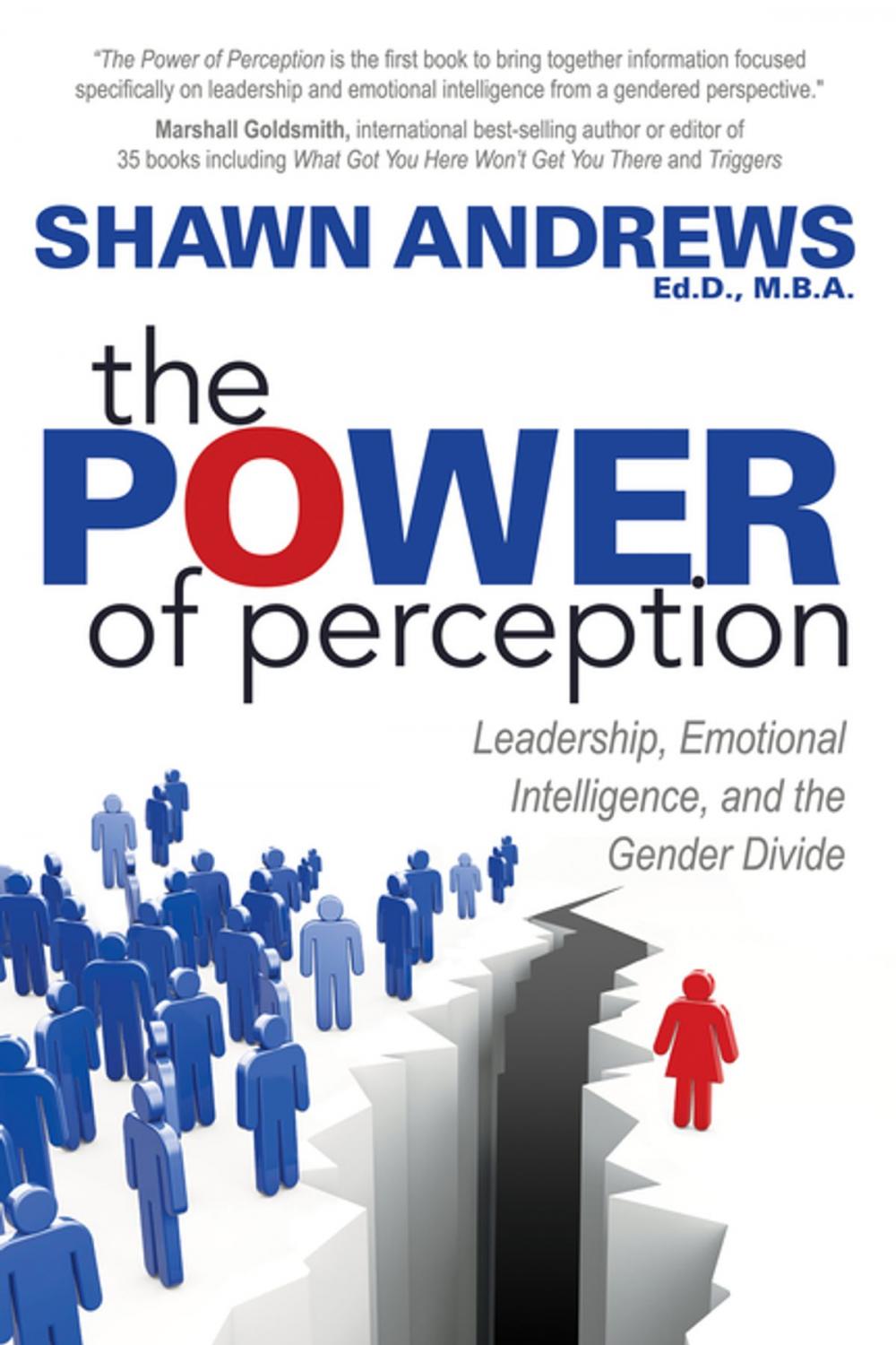 Big bigCover of The Power of Perception