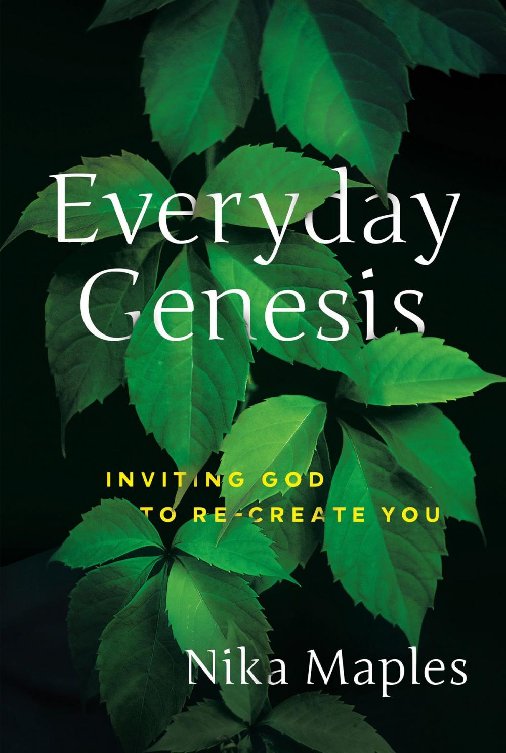 Big bigCover of Everyday Genesis