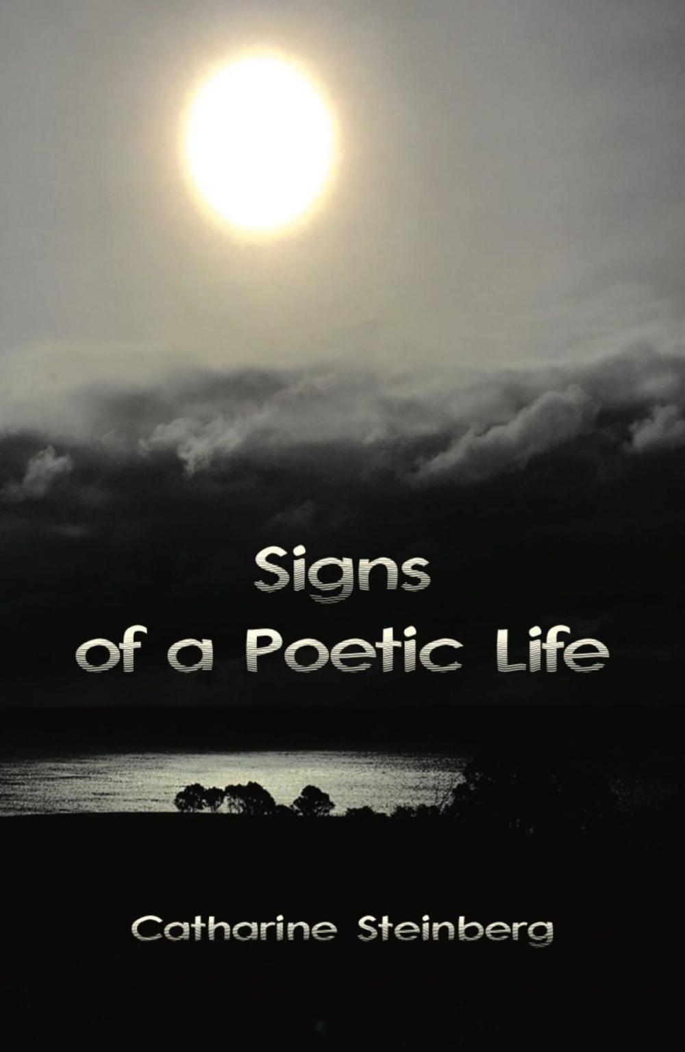 Big bigCover of Signs of a Poetic Life