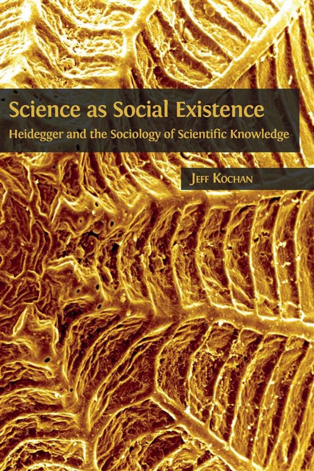 Big bigCover of Science as Social Existence