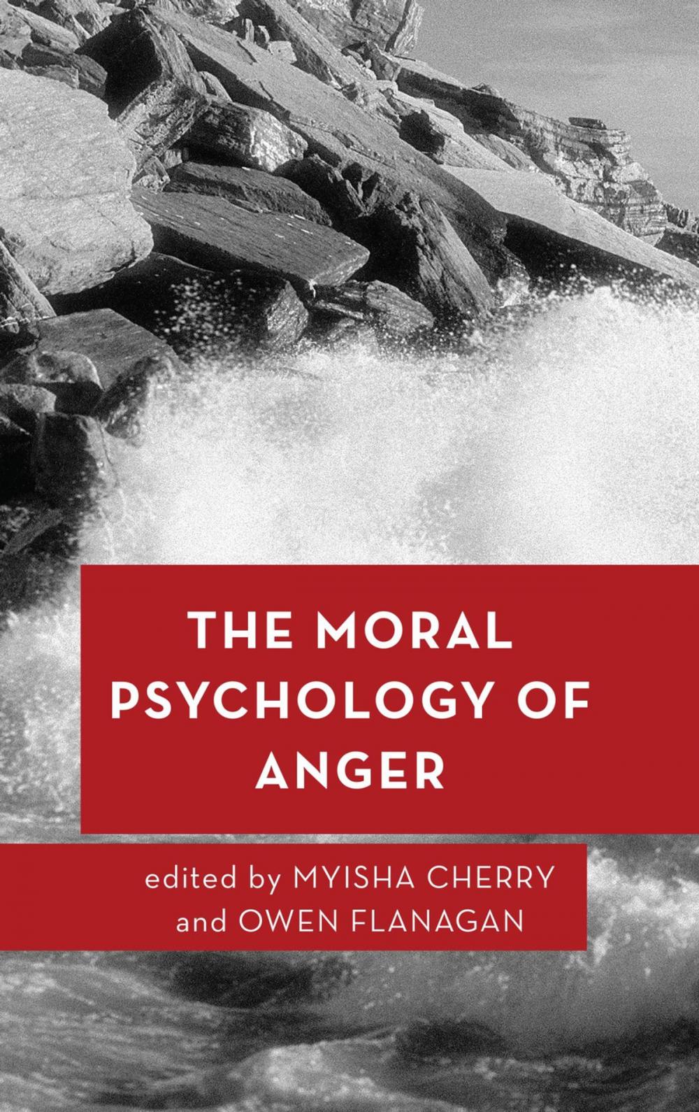 Big bigCover of The Moral Psychology of Anger