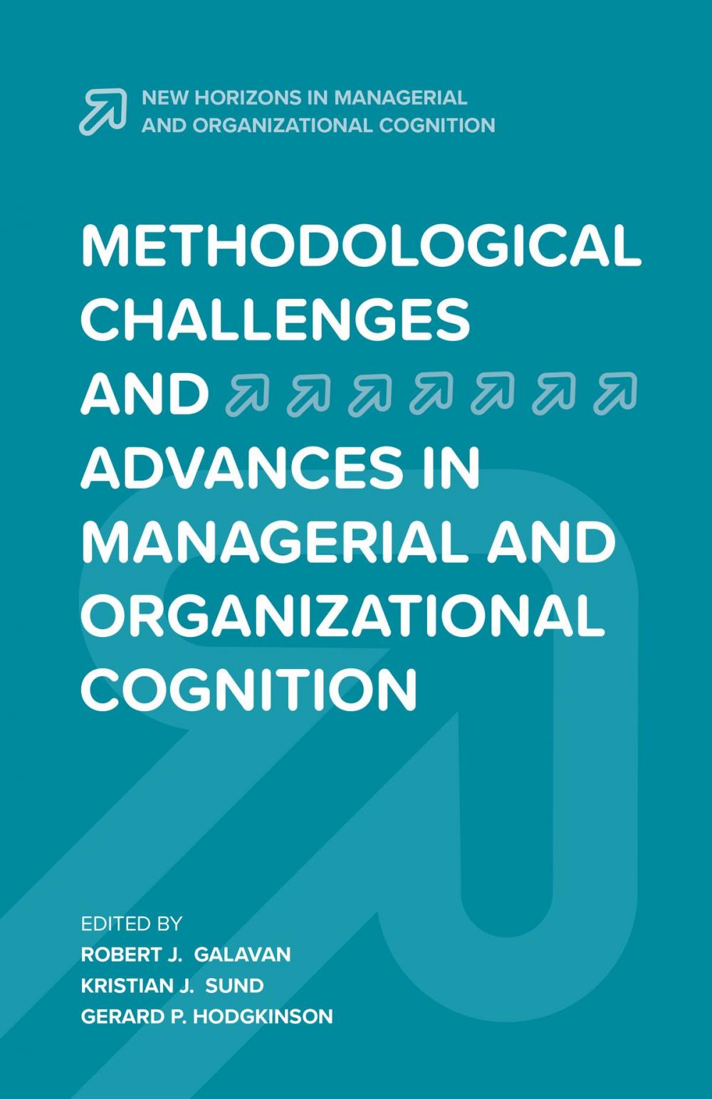 Big bigCover of Methodological Challenges and Advances in Managerial and Organizational Cognition