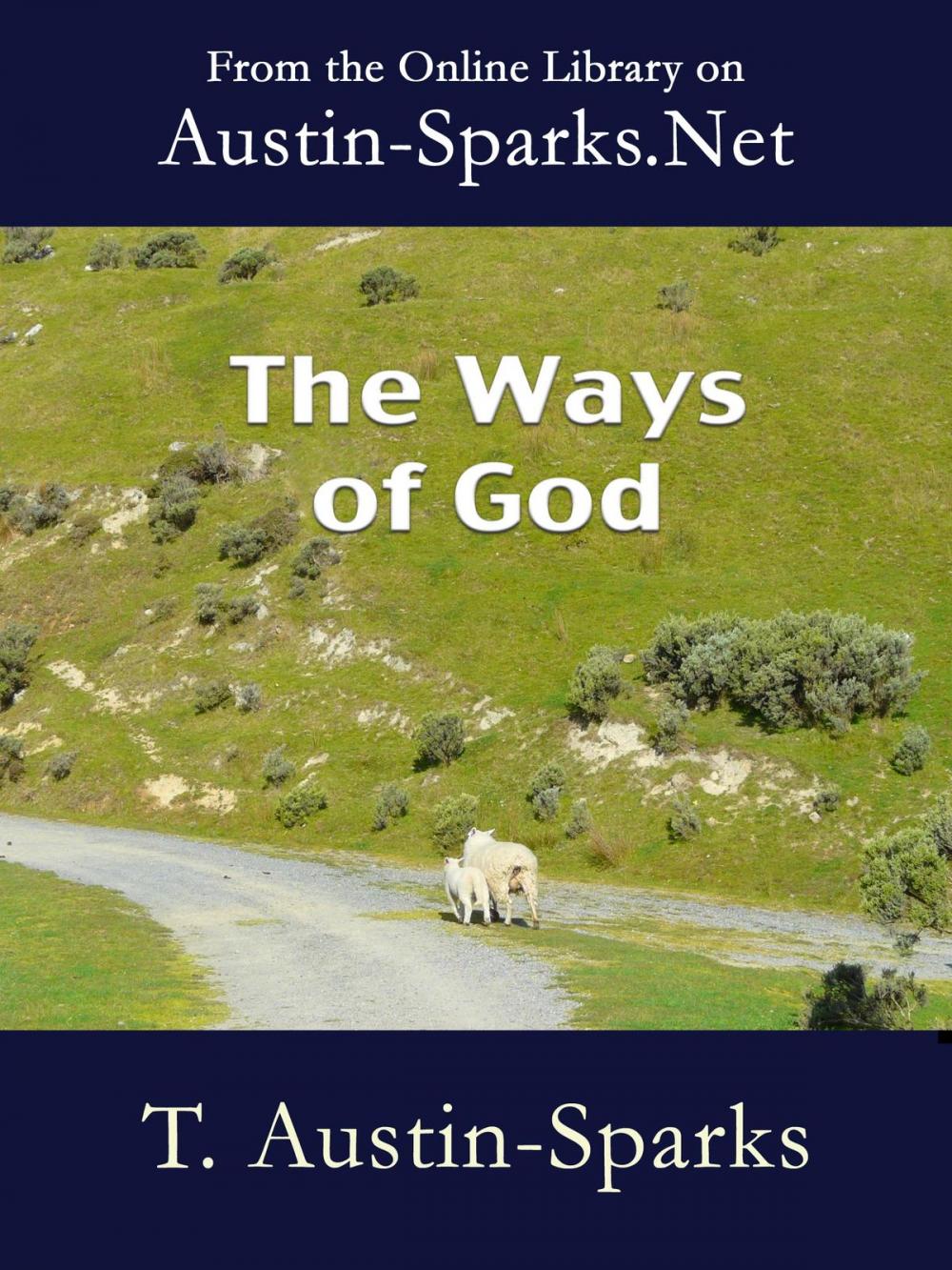 Big bigCover of The Ways of God