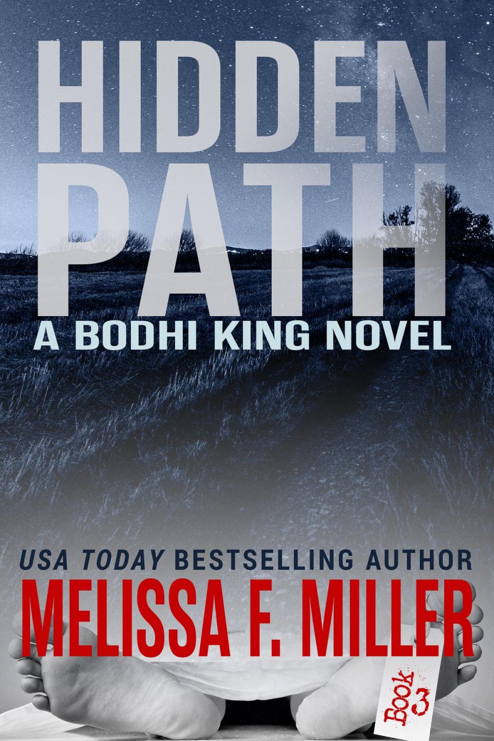 Big bigCover of Hidden Path