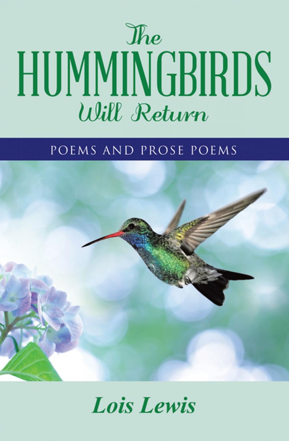 Big bigCover of The Hummingbirds Will Return