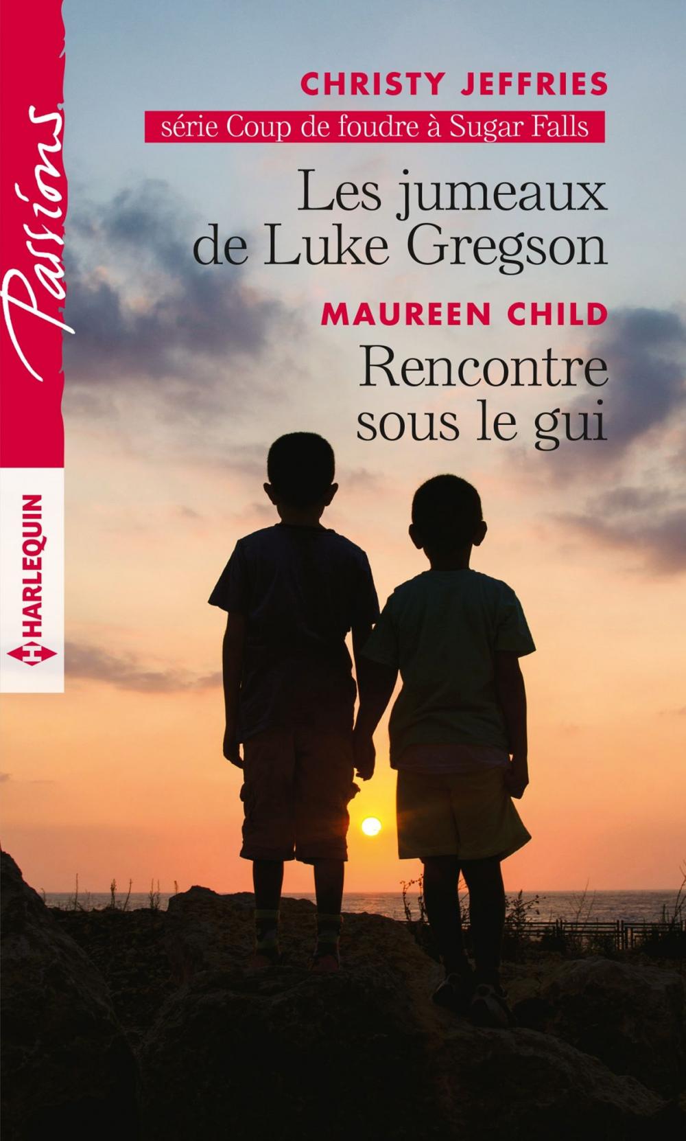 Big bigCover of Les jumeaux de Luke Gregson - Rencontre sous le gui