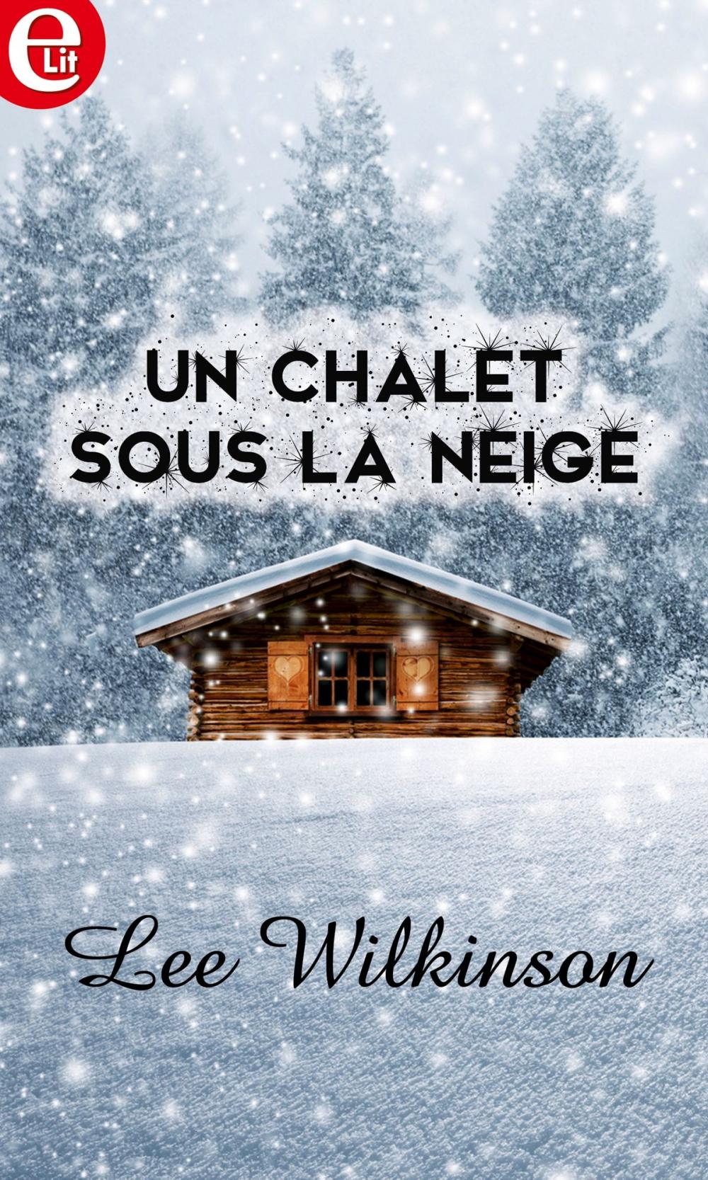 Big bigCover of Un chalet sous la neige