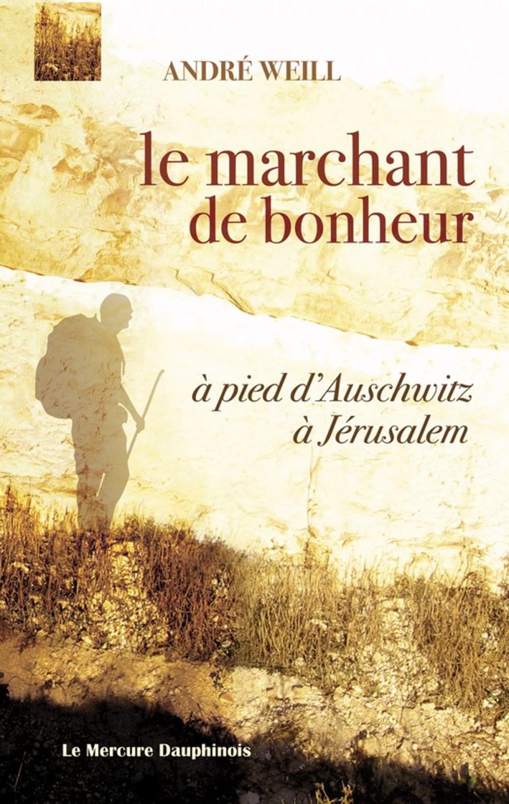 Big bigCover of Le marchant de bonheur