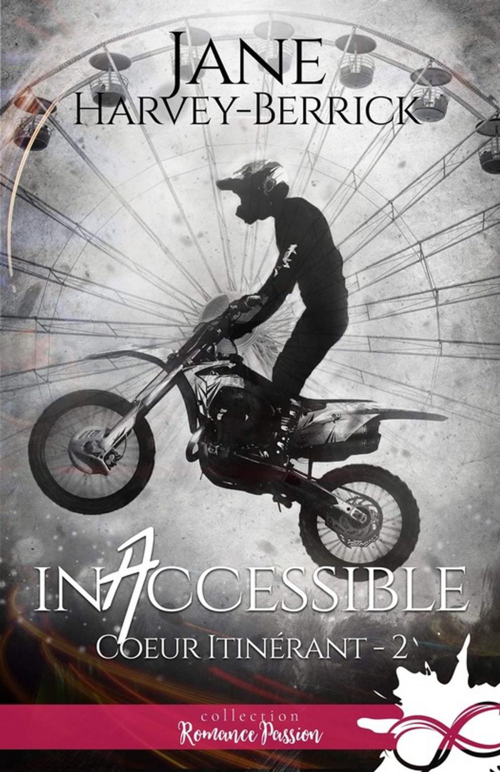 Big bigCover of Inaccessible