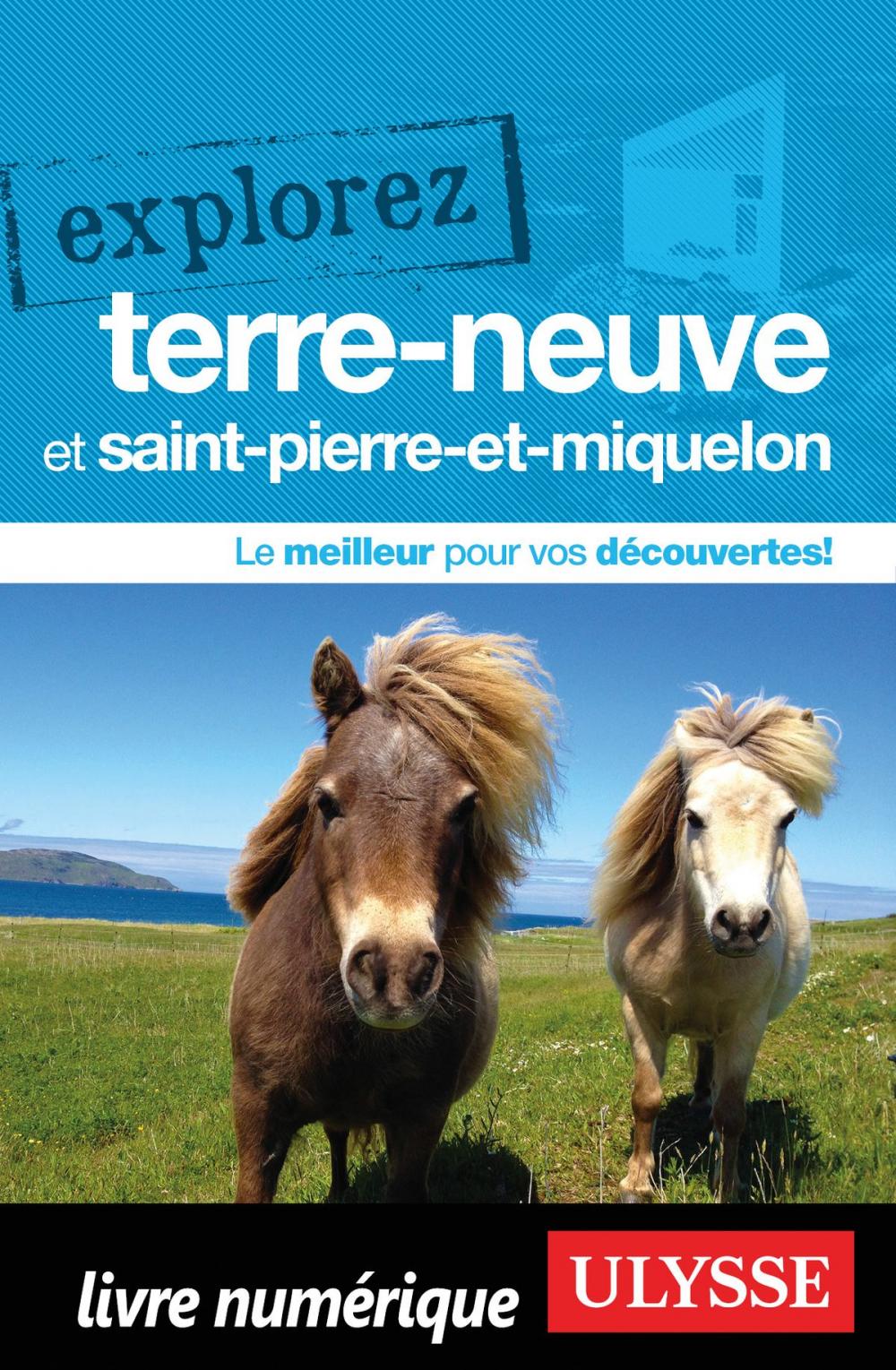 Big bigCover of Explorez Terre-Neuve et Saint-Pierre-et-Miquelon