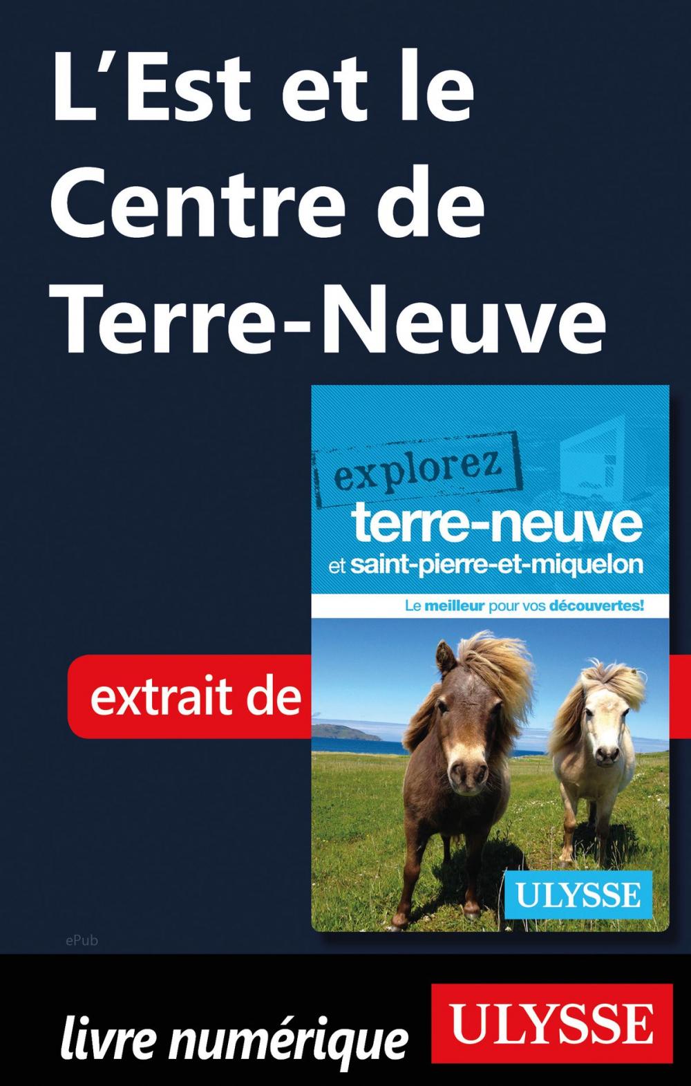 Big bigCover of L'Est et le Centre de Terre-Neuve