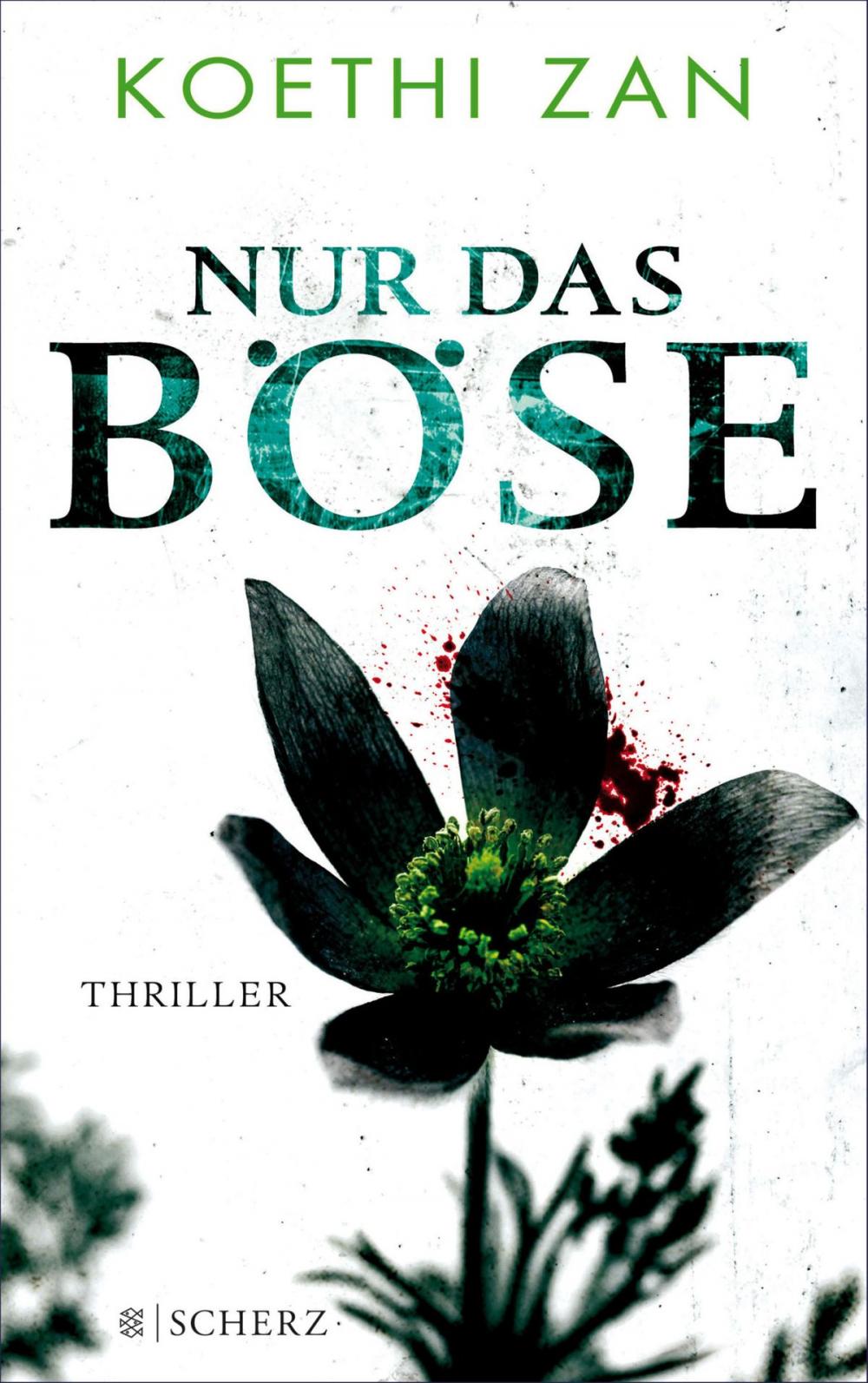 Big bigCover of Nur das Böse