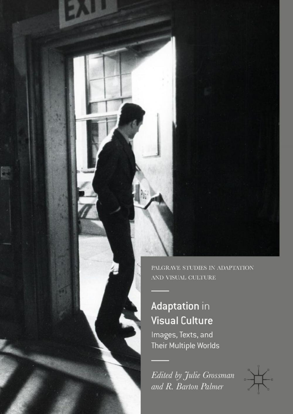 Big bigCover of Adaptation in Visual Culture