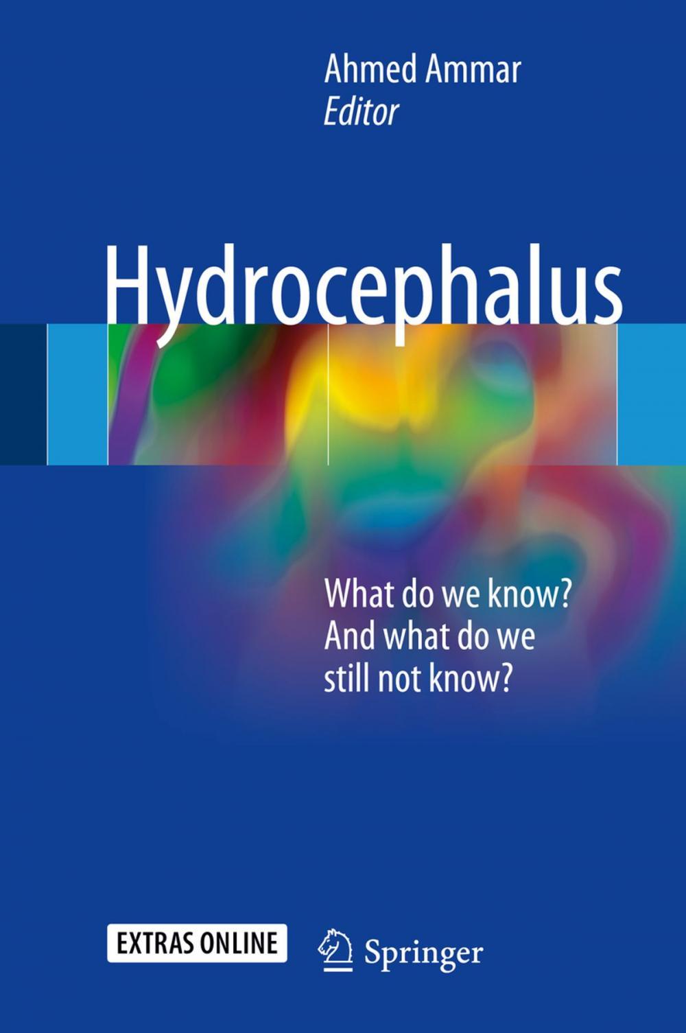 Big bigCover of Hydrocephalus