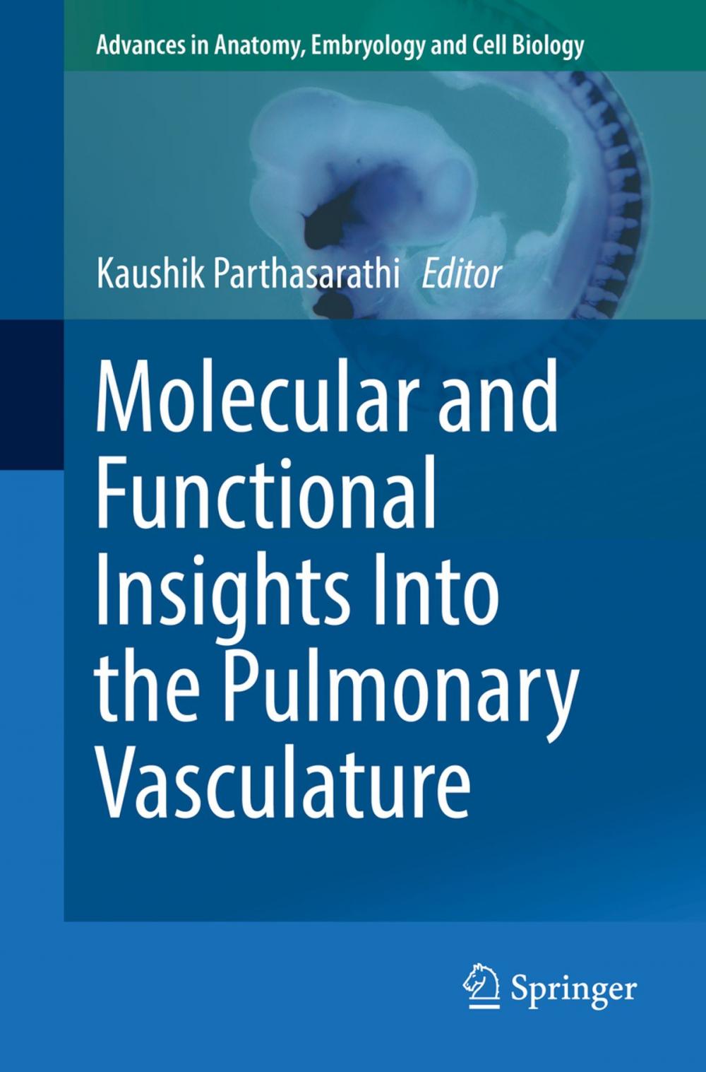 Big bigCover of Molecular and Functional Insights Into the Pulmonary Vasculature