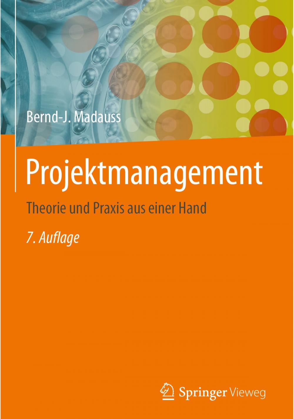 Big bigCover of Projektmanagement