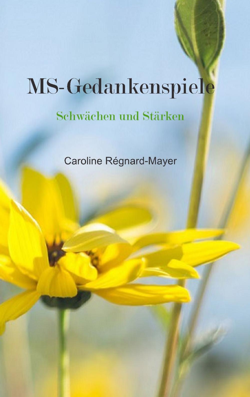 Big bigCover of MS - Gedankenspiele