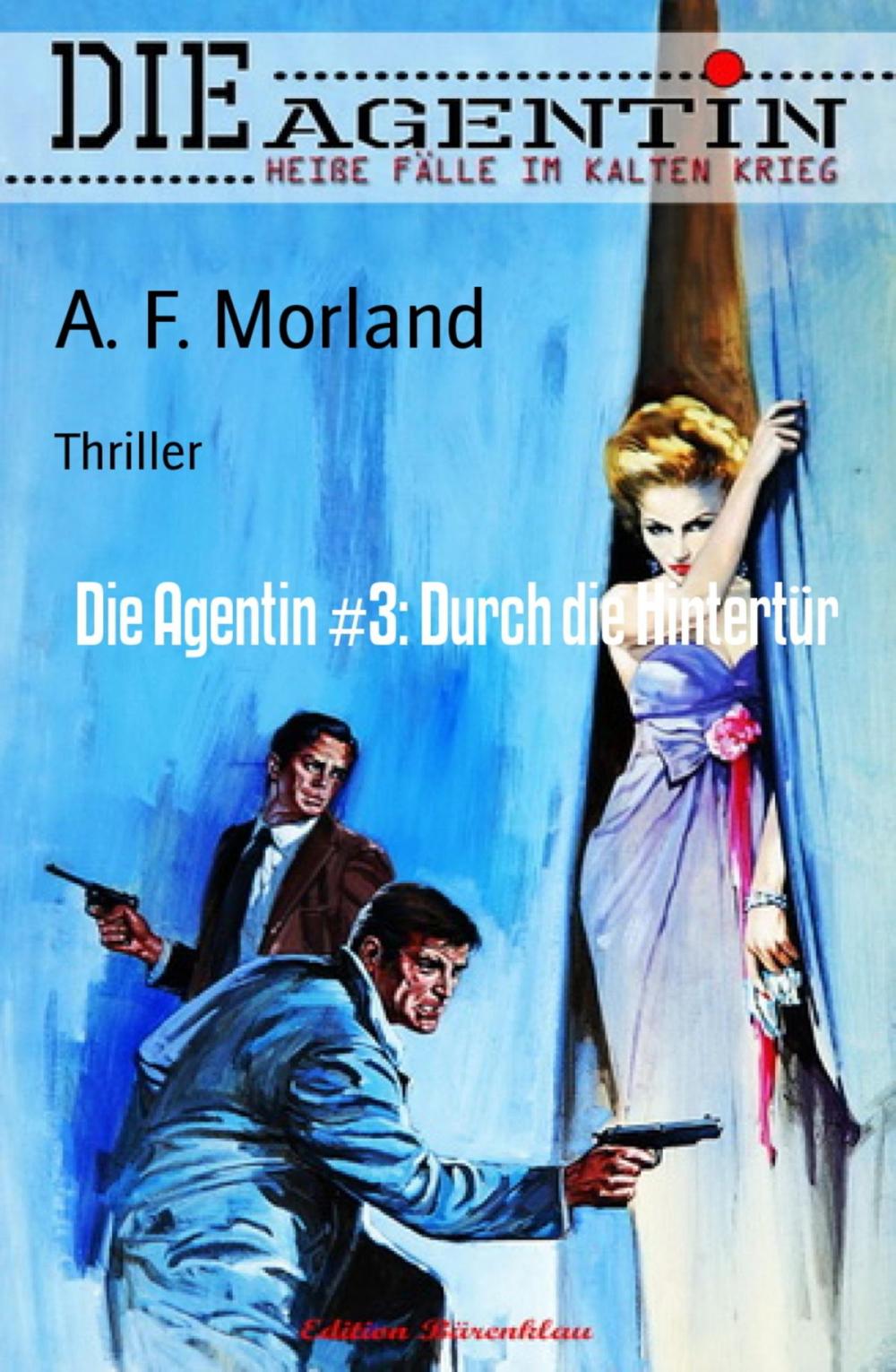 Big bigCover of Die Agentin #3: Durch die Hintertür