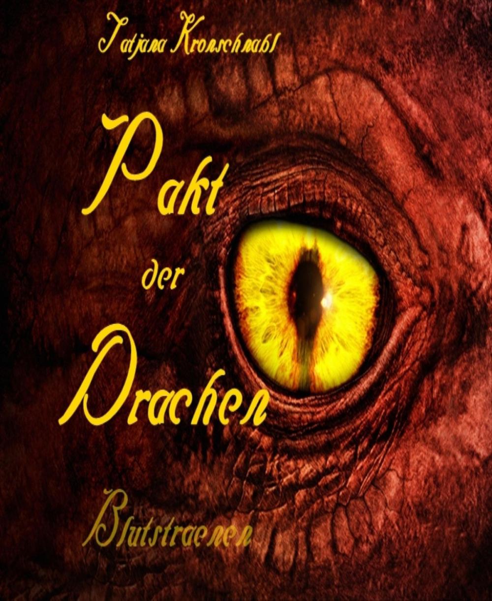 Big bigCover of Pakt der Drachen 3