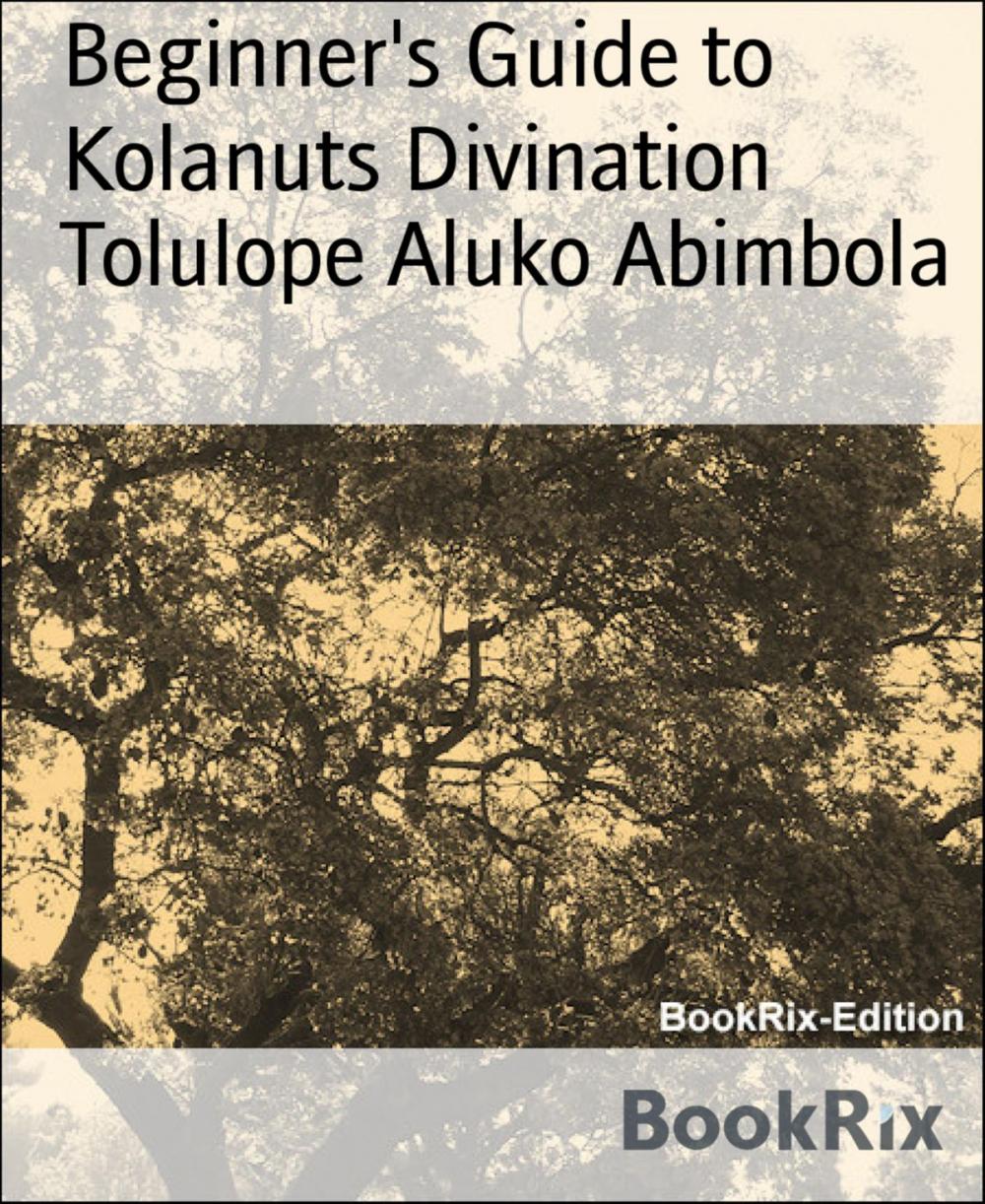 Big bigCover of Beginner's Guide to Kolanuts Divination