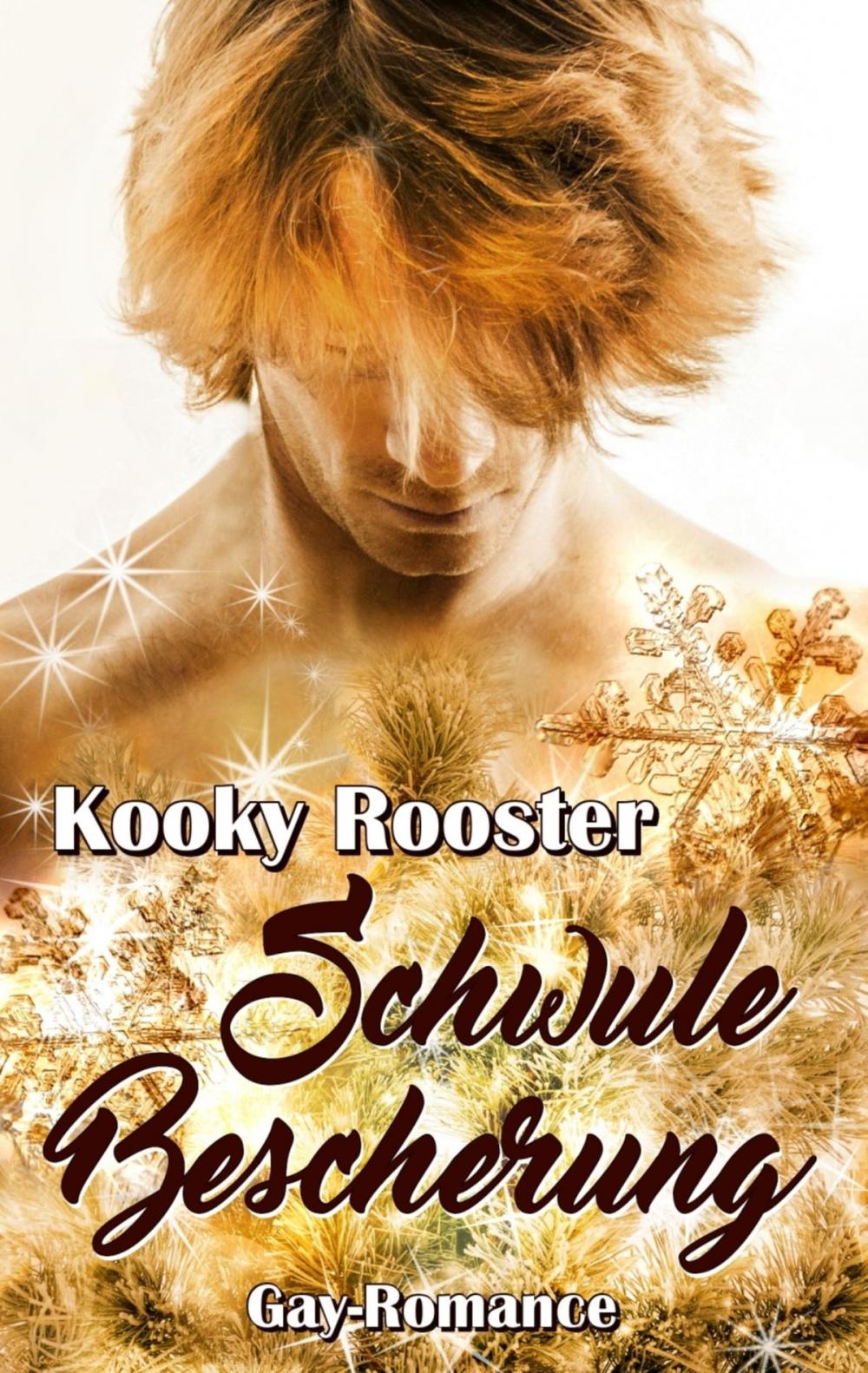 Big bigCover of Schwule Bescherung