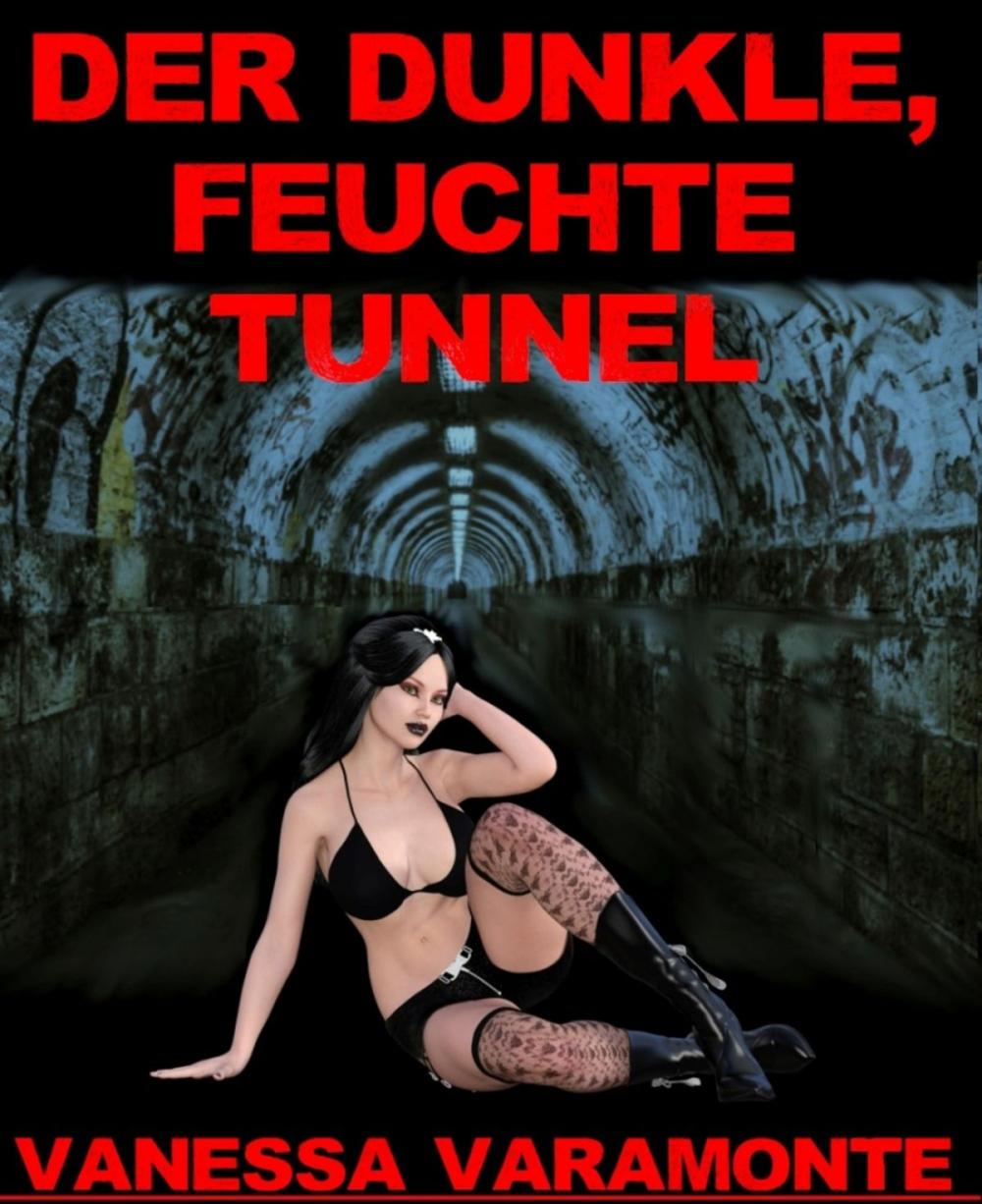 Big bigCover of Der dunkle, feuchte Tunnel