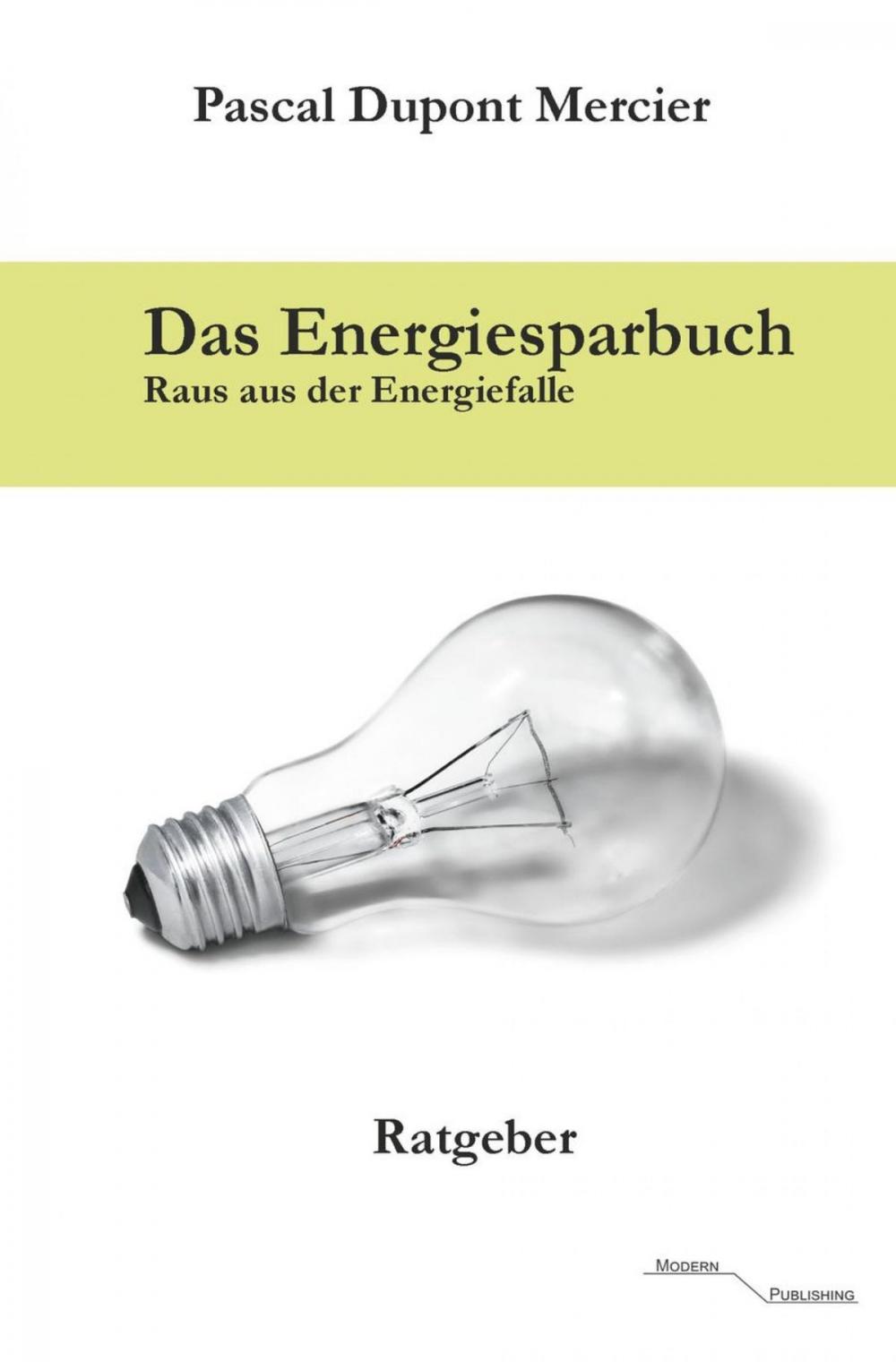 Big bigCover of Das Energiesparbuch