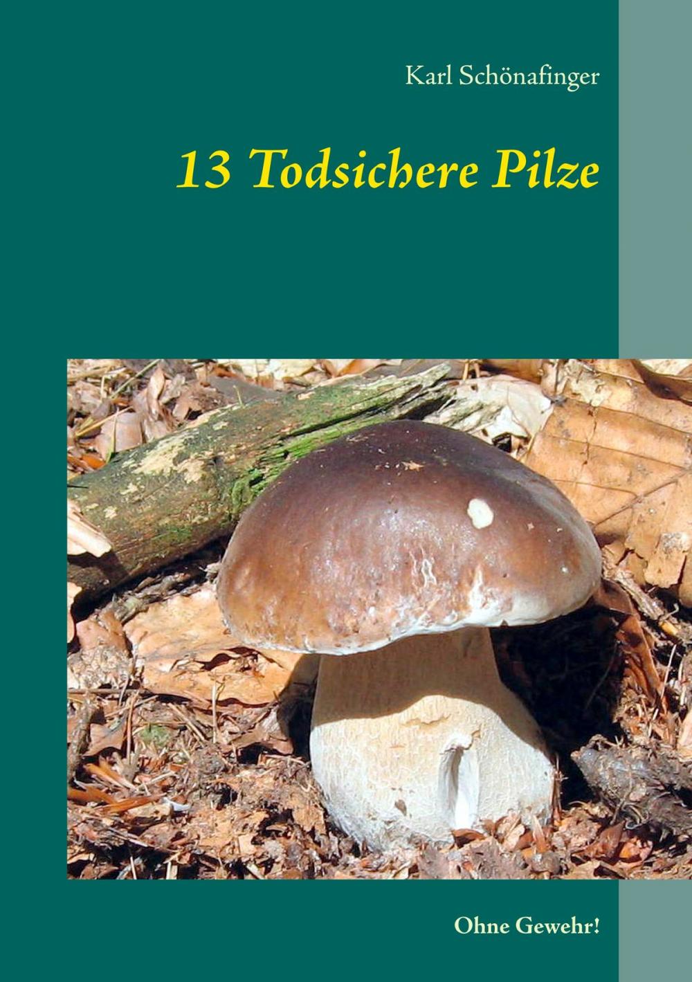 Big bigCover of 13 Todsichere Pilze