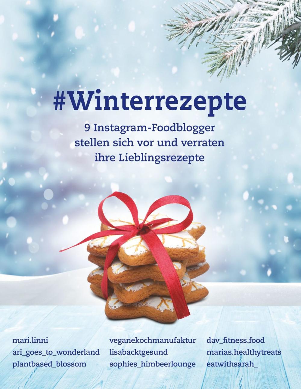 Big bigCover of #Winterrezepte