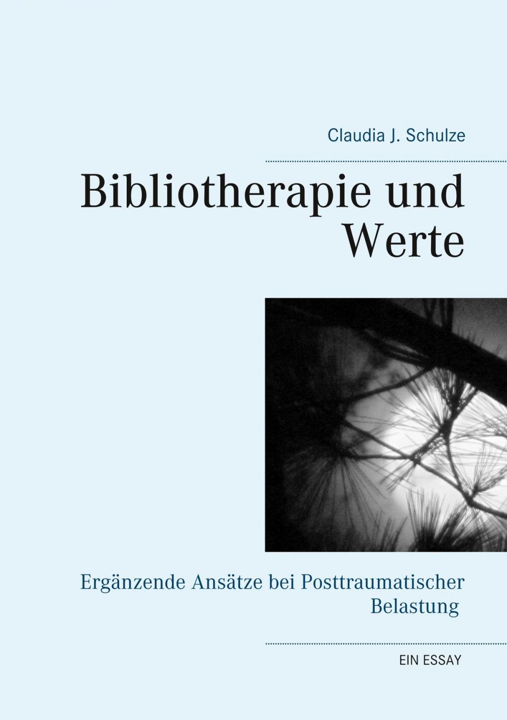 Big bigCover of Bibliotherapie und Werte