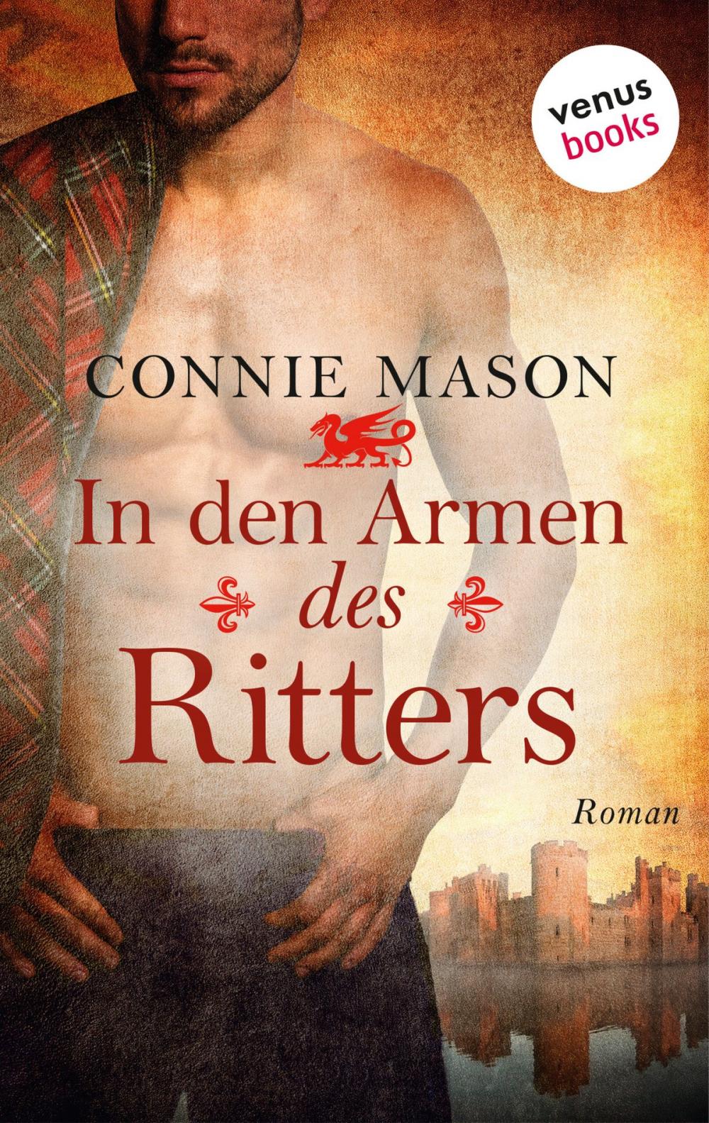 Big bigCover of In den Armen des Ritters