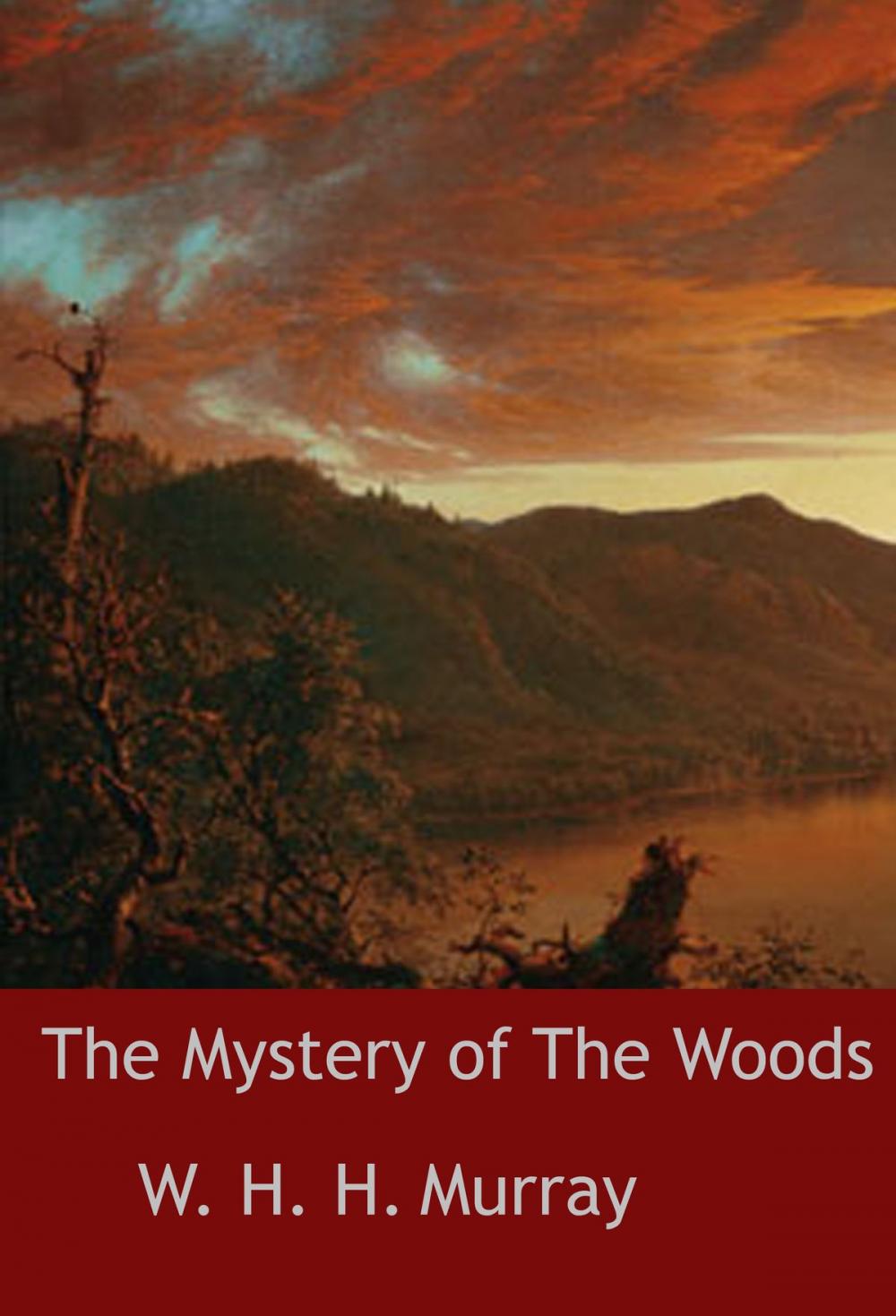 Big bigCover of The Mystery of The Woods