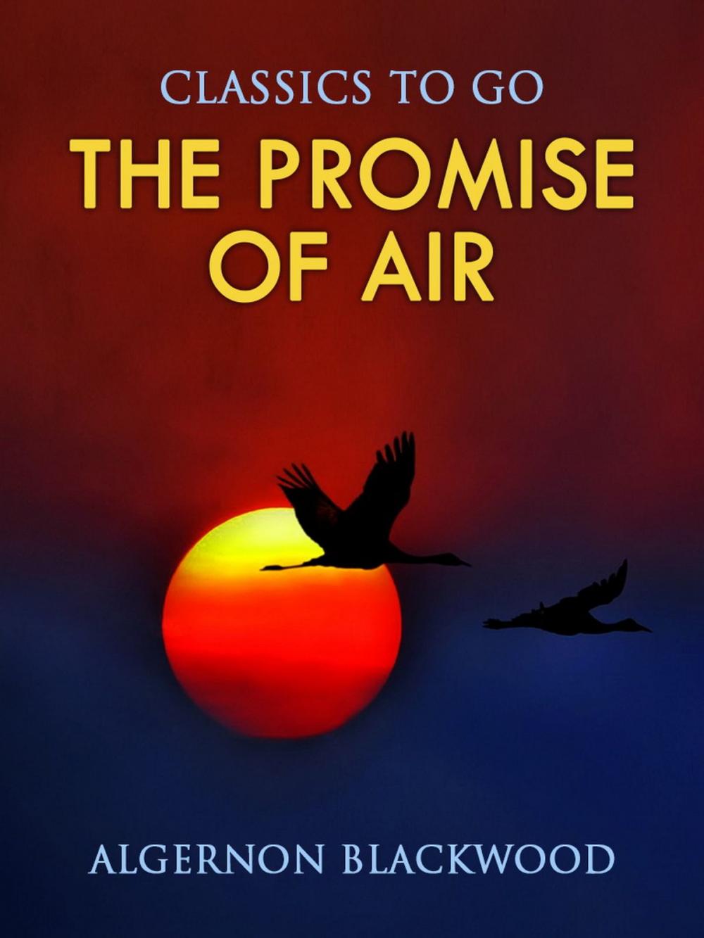 Big bigCover of The Promise of Air