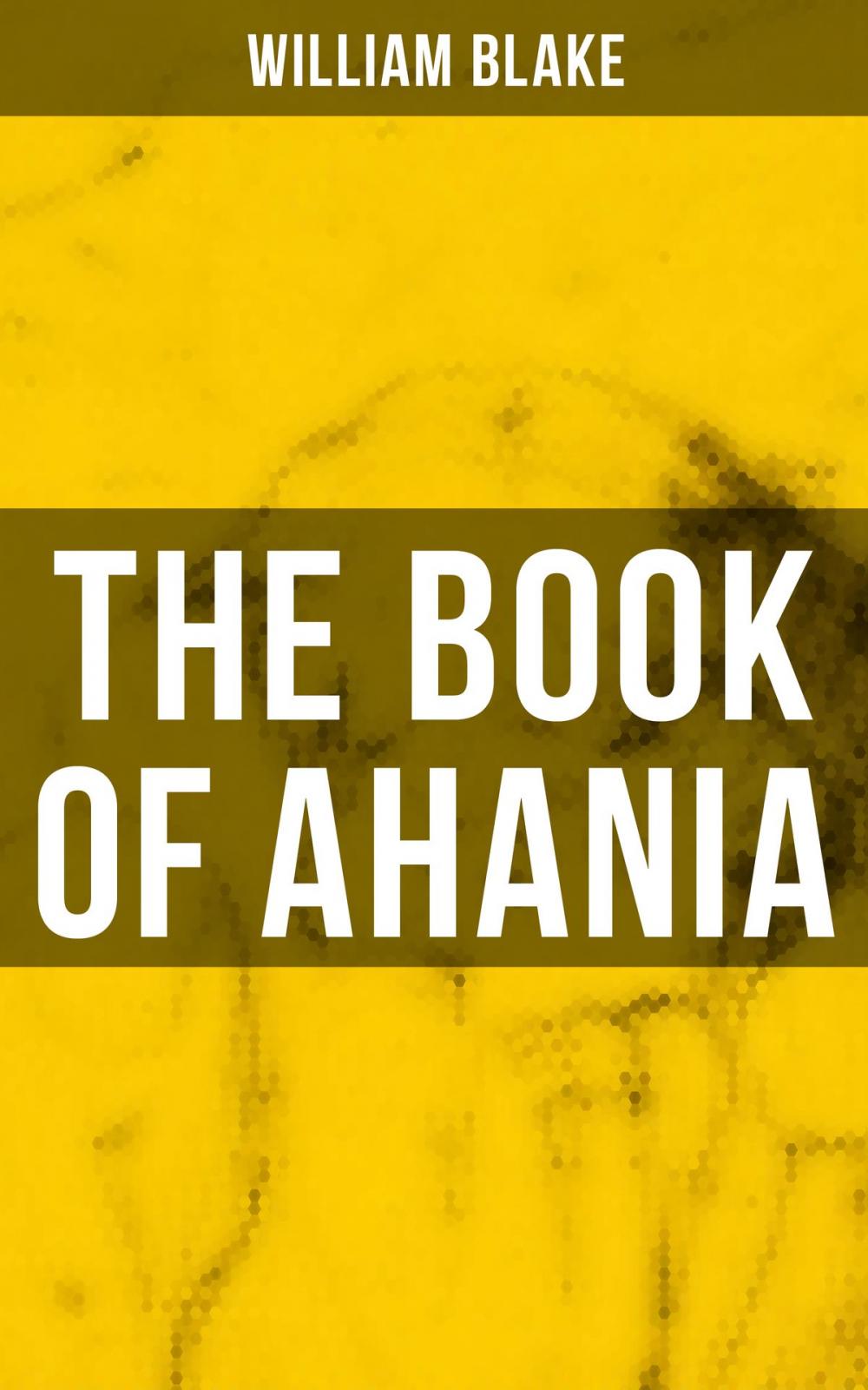 Big bigCover of THE BOOK OF AHANIA