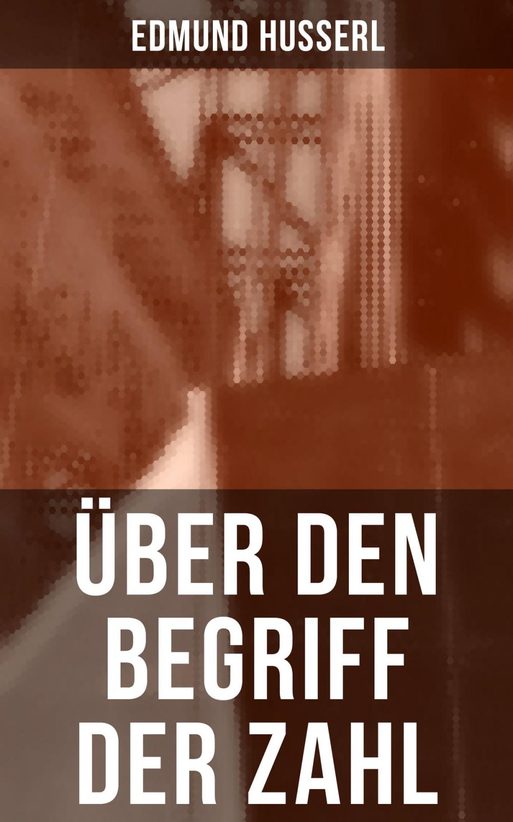 Big bigCover of Über den Begriff der Zahl